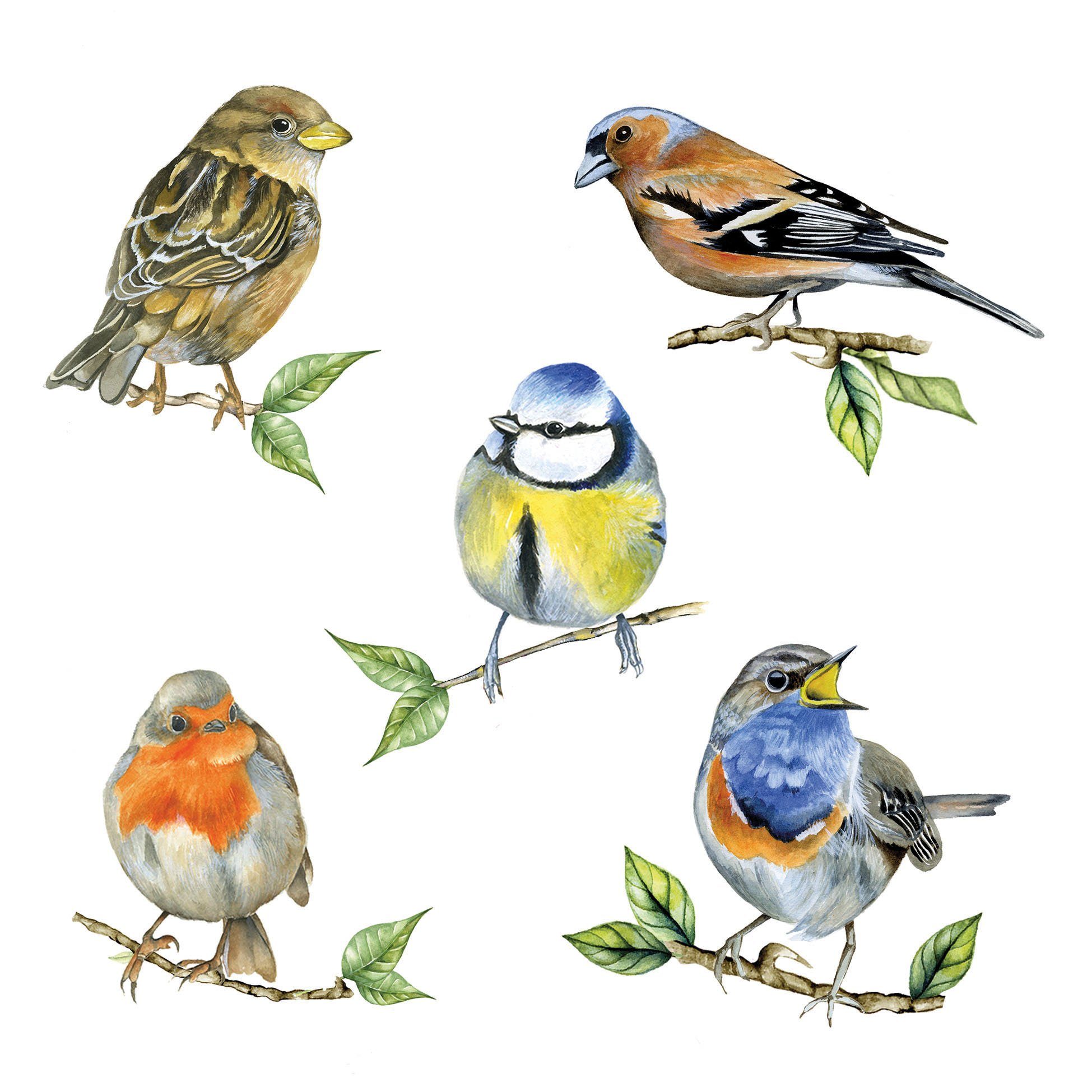 Ambiente Papierserviette Heimische Vögel, (20 St), 20 Stück