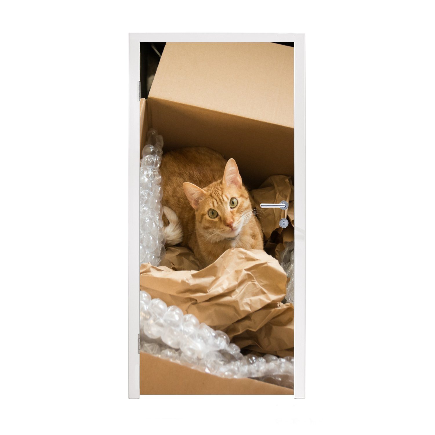 Matt, Fototapete Türaufkleber, 75x205 Box cm Türtapete St), Katze MuchoWow Rot, (1 für Tür, - bedruckt, -