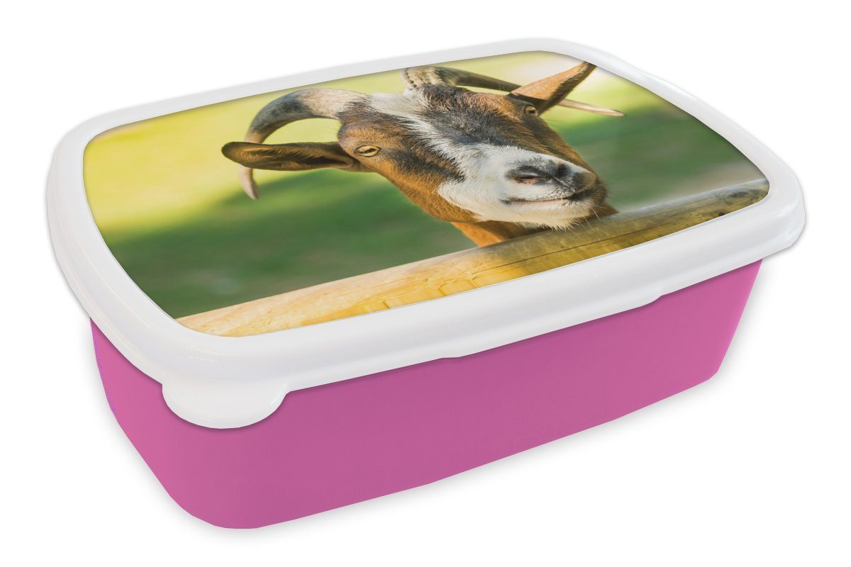 Horn, Lunchbox Brotbox Kunststoff rosa - Kunststoff, Mädchen, für - MuchoWow Tiere - (2-tlg), Brotdose Erwachsene, Zaun Kinder, Ziege Snackbox,