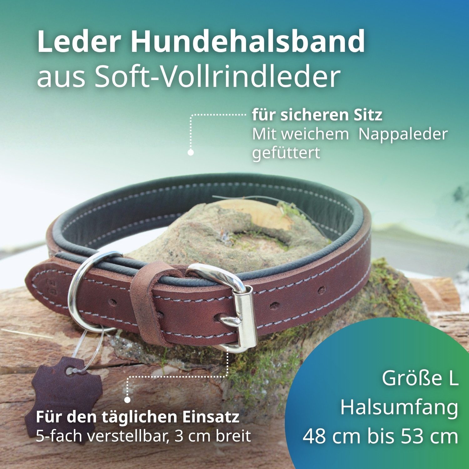Activity4Dogs Hunde-Halsband große Hunde, Echtleder, 5-fach verstellbar, 4 Größen, verschiedene Farben, Größe M bis XL, jeweils 5-fach verstellbar