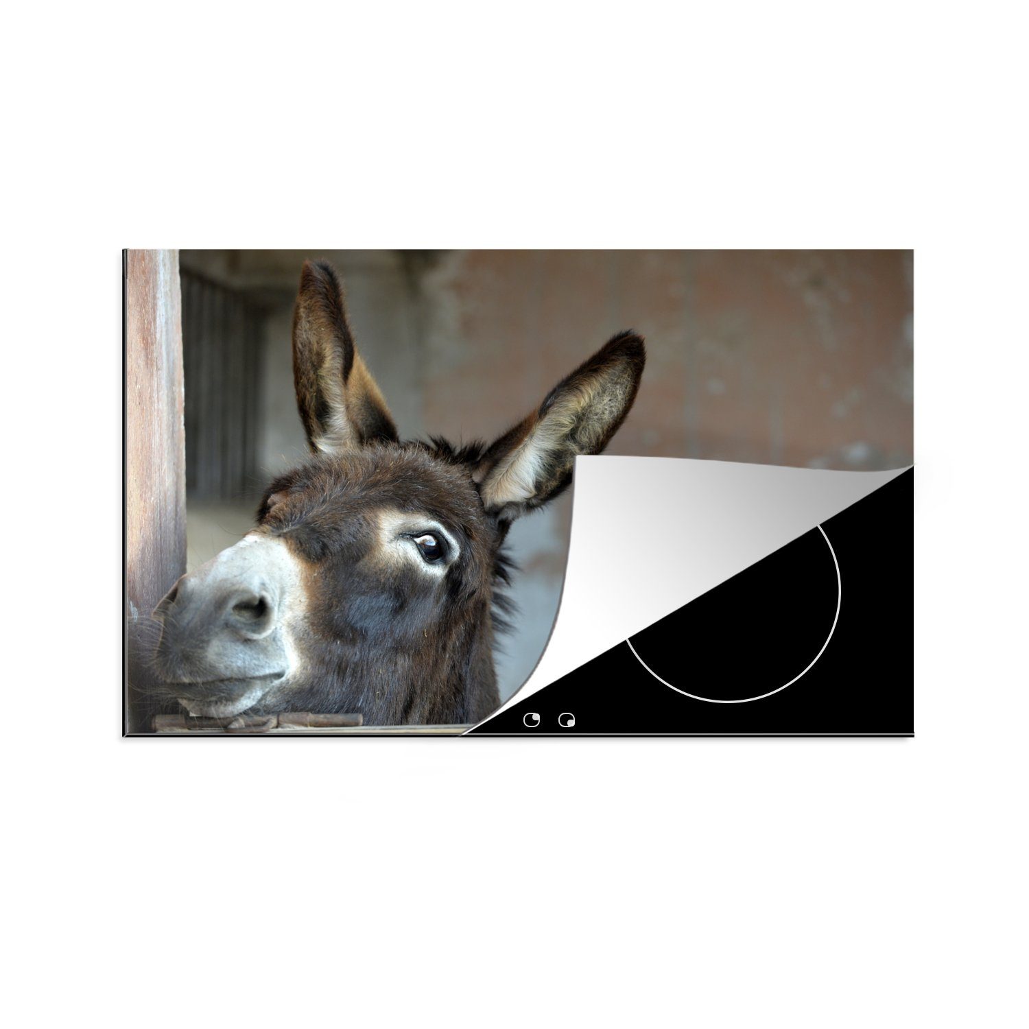 MuchoWow Herdblende-/Abdeckplatte Esel, Vinyl, (1 tlg), 81x52 cm, Induktionskochfeld Schutz für die küche, Ceranfeldabdeckung | Herdabdeckplatten
