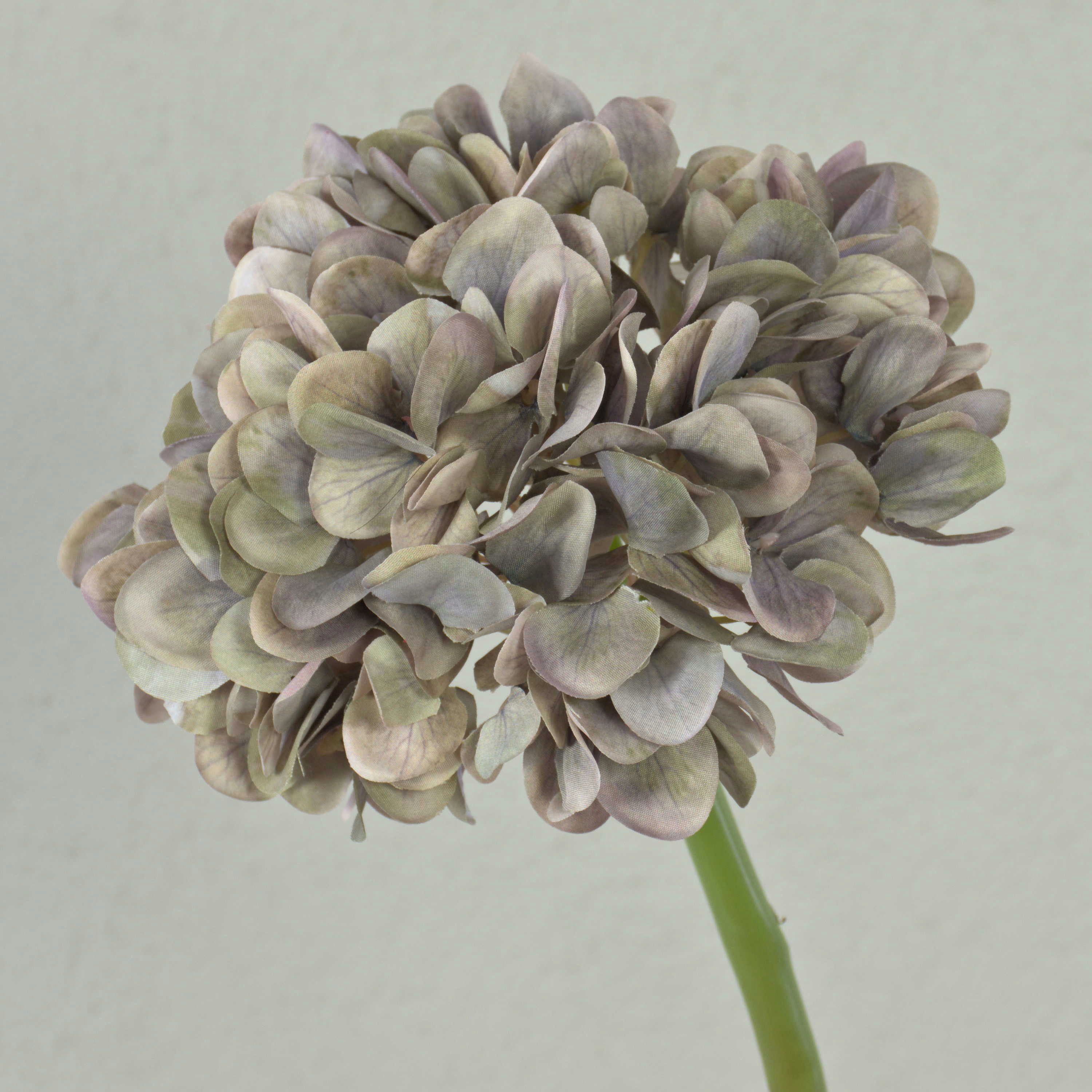 Kunstblume Künstliche Hortensie Mandisa, beige-rosa, 65cm Hortensie, artplants, Höhe 45.0 cm