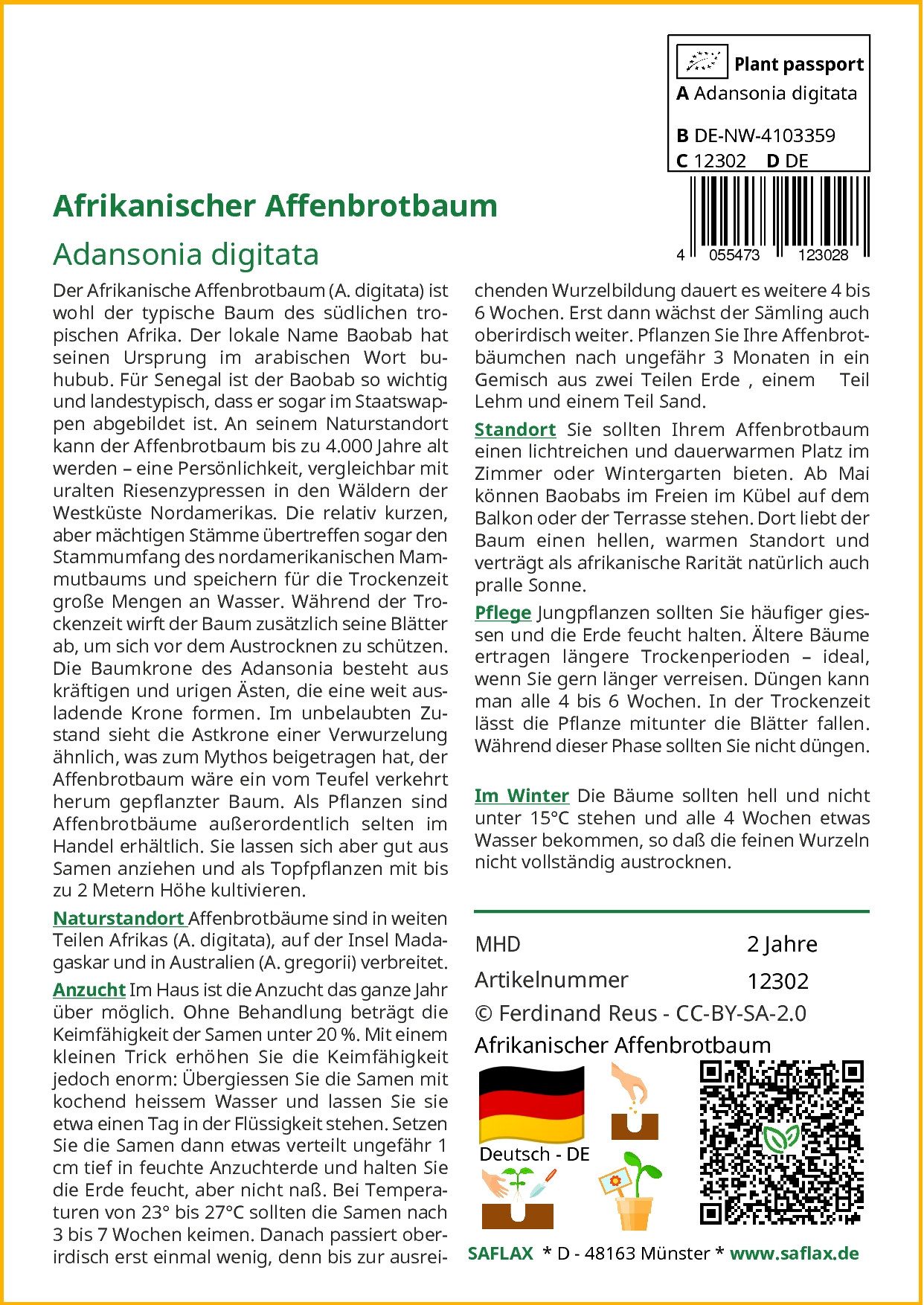 SAFLAX Blumensamen Afrikanischer Affenbrotbaum - Adansonia günstig online kaufen
