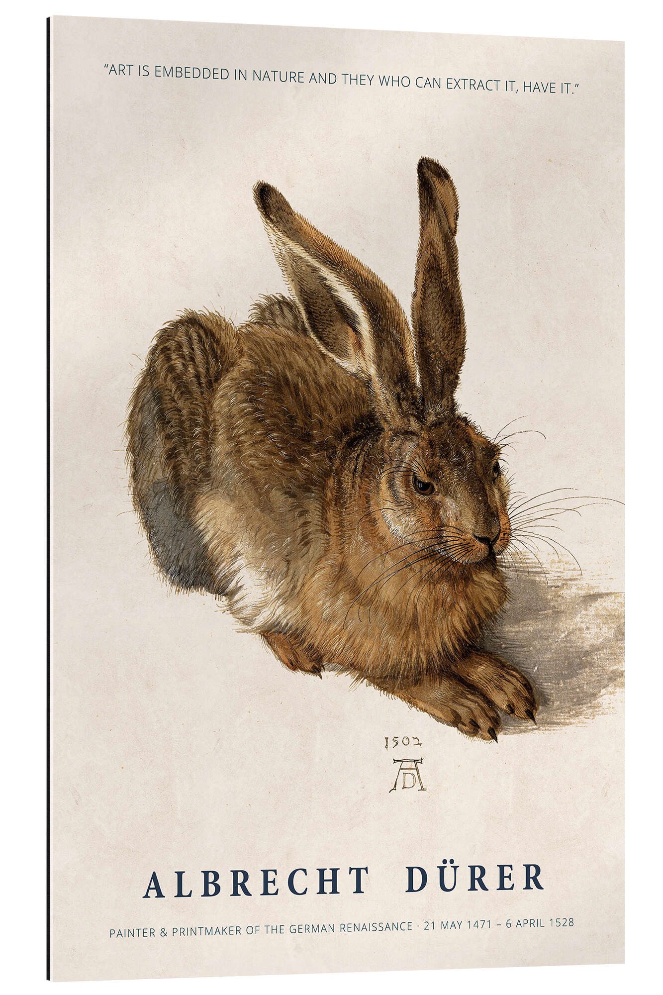 XXL-Wandbild Albrecht Dürer