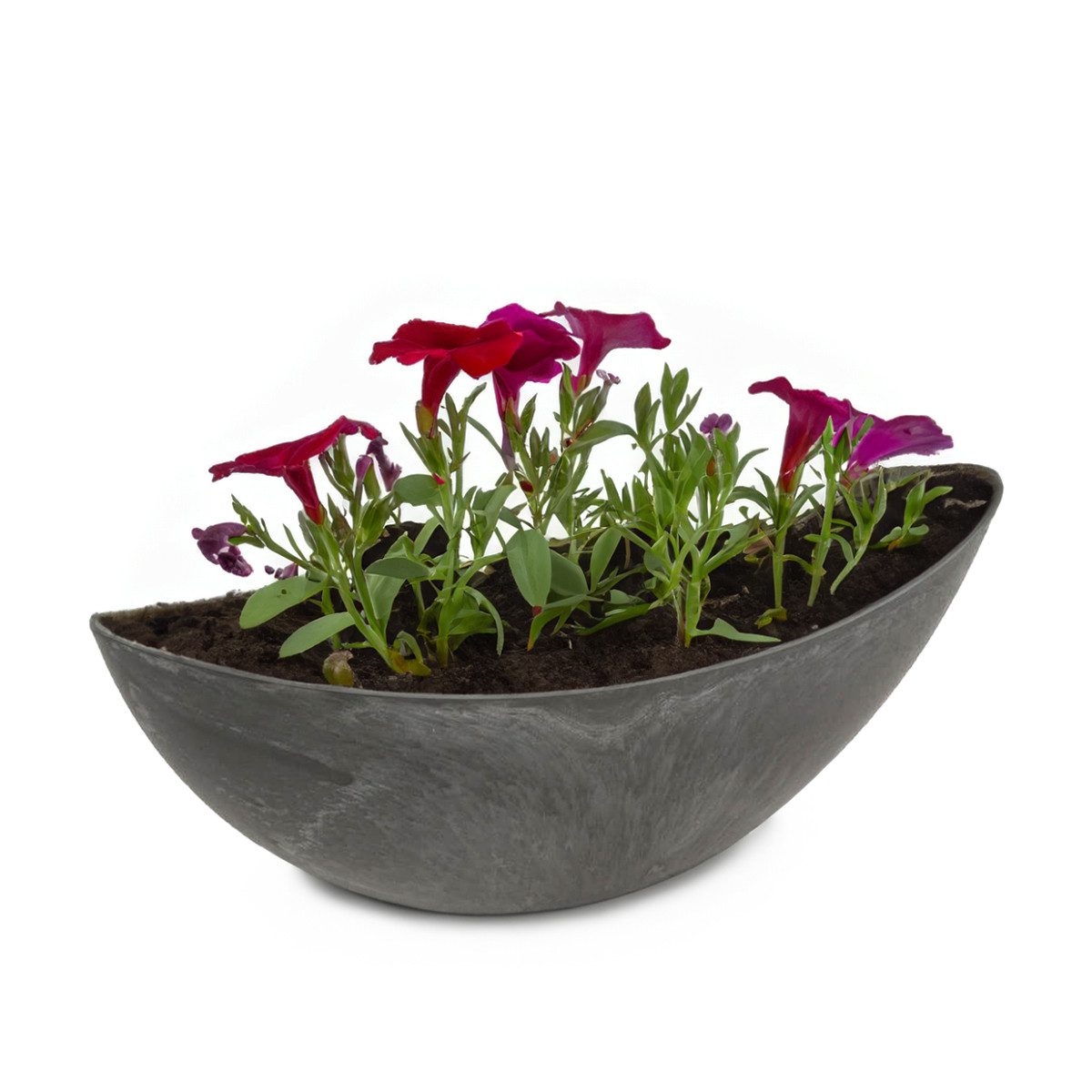 matches21 HOME & HOBBY Blumentopf Große ovale Pflanzschale Jardiniere 39 cm in Stein-Optik schwarz (1 St), Outdoor Schiff Deko-Schale als Blumen-Schale Pflanz-Topf Grab-Schmuck