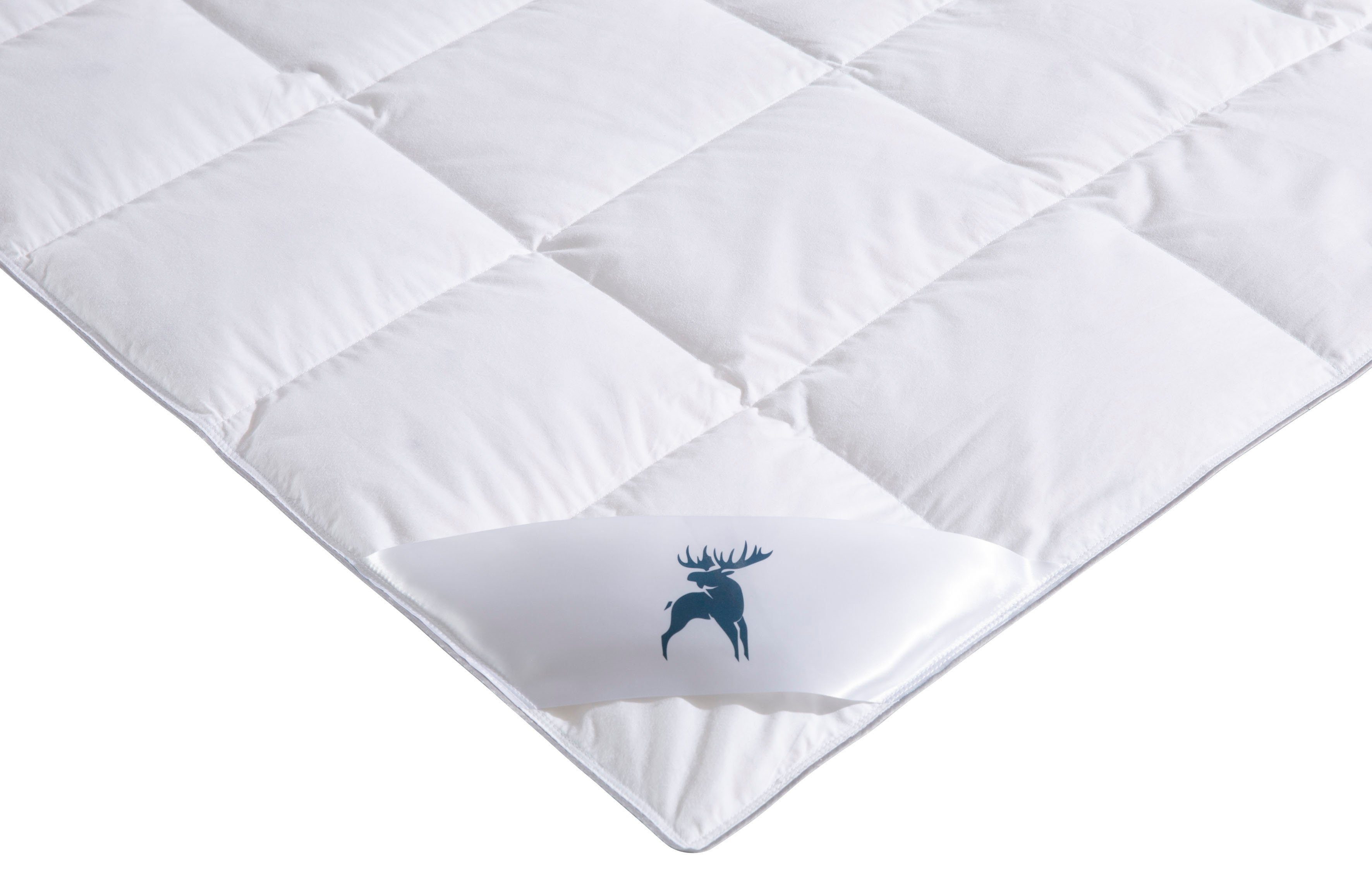 Daunenbettdecke + Kopfkissen, Lodiken, bis 1 100% Bezug: Bettdecke die Baumwolle, Kissen, mit Set Kissen Älgdröm, aus Bettdecke Sommer von und Winter optimale 1