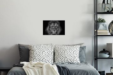 MuchoWow Wandsticker Löwe - Tiere - Schwarz - Weiß (1 St), Wandaufkleber, Wandtattoo, Selbstklebend, Wohnzimmer, Schlafzimmer