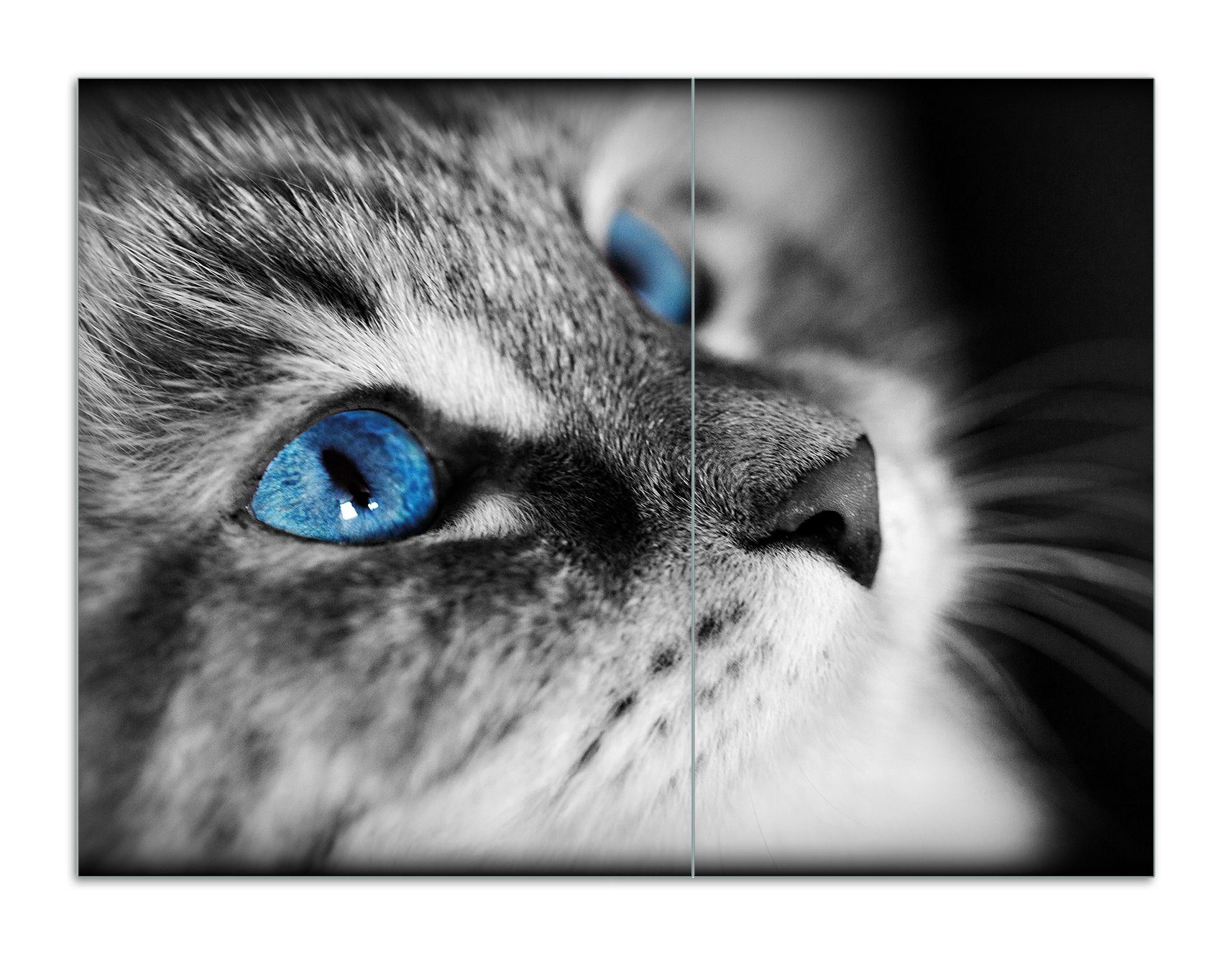 Wallario Herd-Abdeckplatte Schwarz-weiß getigerte Katze mit leuchtend blauen Augen, ESG-Sicherheitsglas, (Glasplatte, 2 tlg., inkl. 5mm Noppen), verschiedene Größen