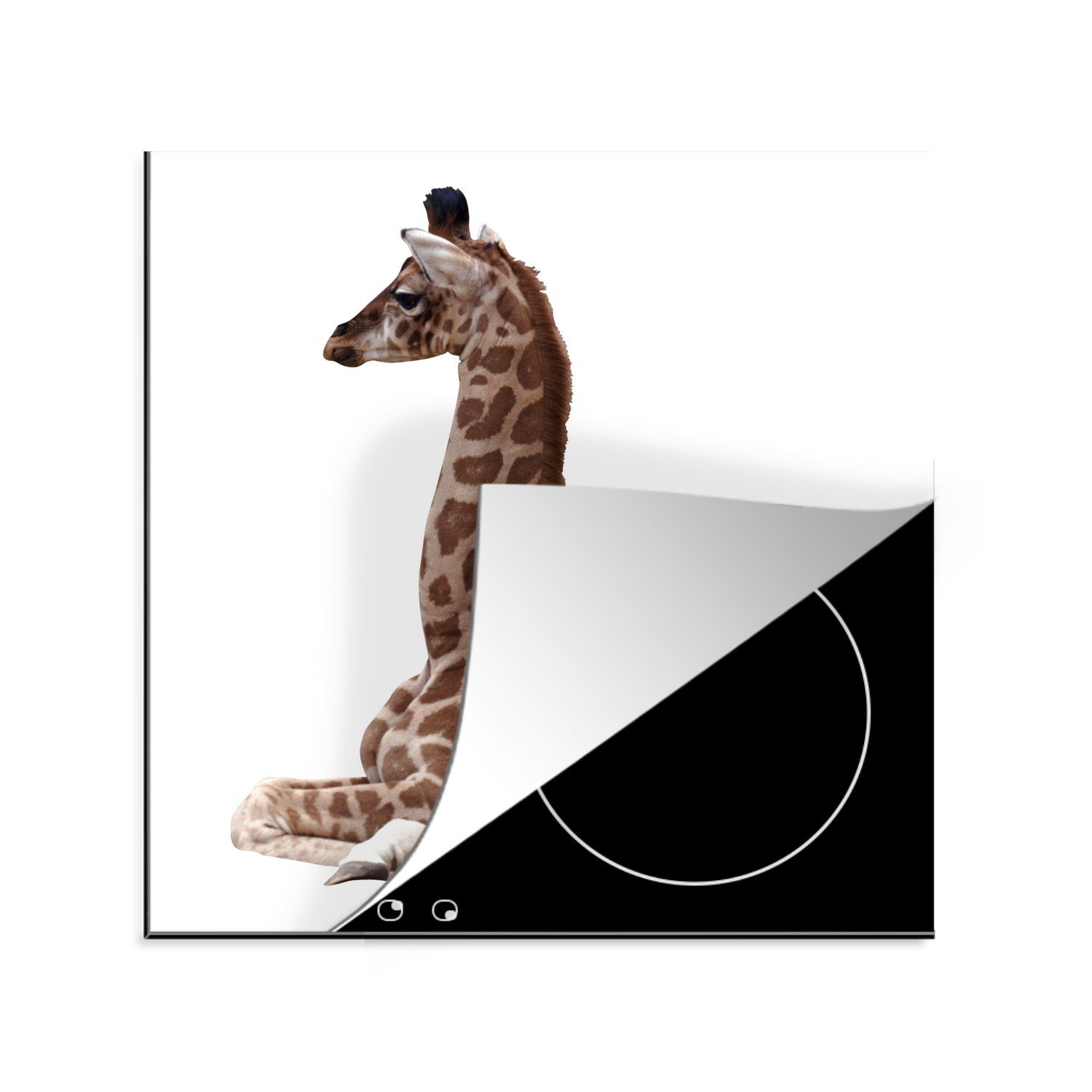 MuchoWow Herdblende-/Abdeckplatte Baby-Giraffe auf weißem Hintergrund, Vinyl, (1 tlg), 78x78 cm, Ceranfeldabdeckung, Arbeitsplatte für küche