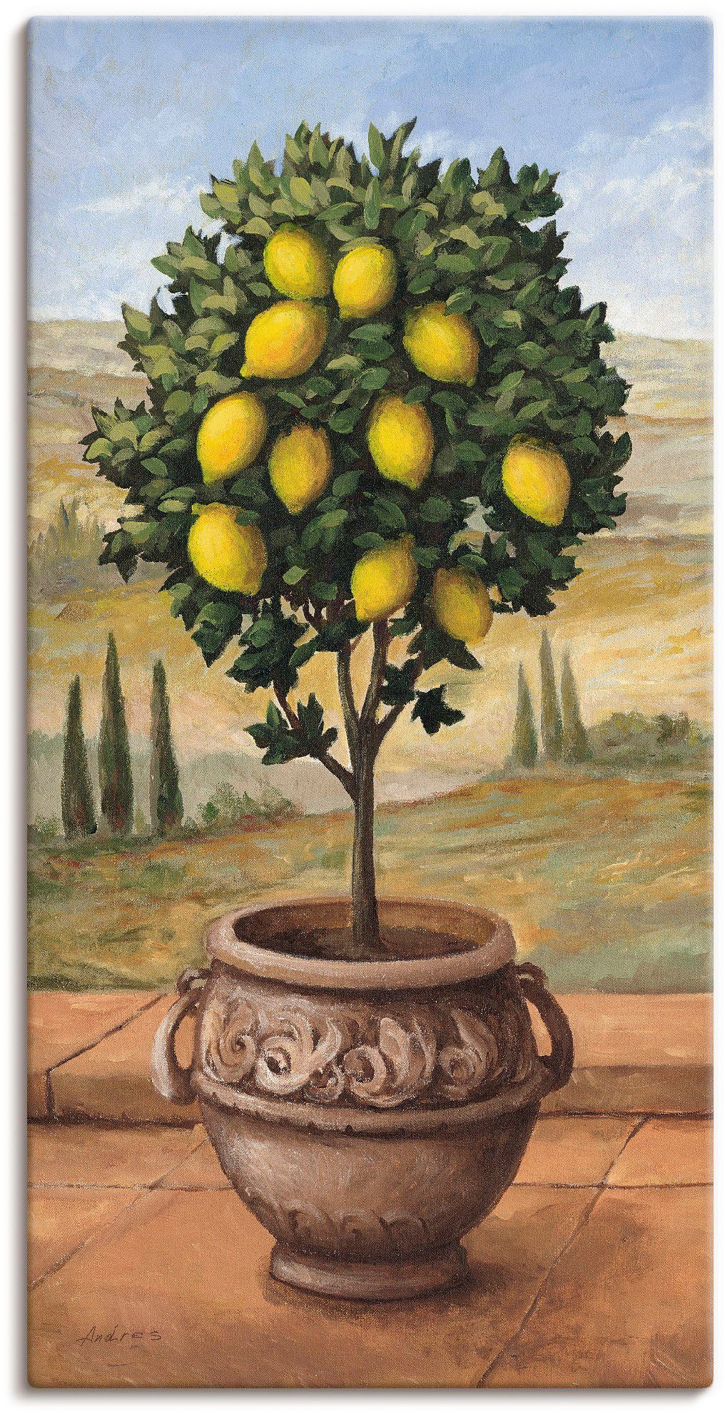 Artland Wandbild Zitronenbaum, Bäume (1 St), als Leinwandbild, Wandaufkleber in verschied. Größen