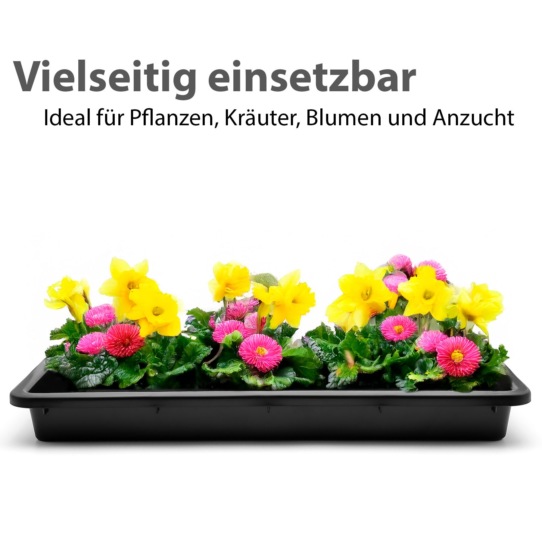 BigDean Pflanzschale Pflanzschale 59x39x6 cm ideal als Pflanzwanne (Set, 1 St., Anzuchtschale), Kräuteranzucht, Gemüseanzucht, Pflanzenzucht. – Bild 4 von 5