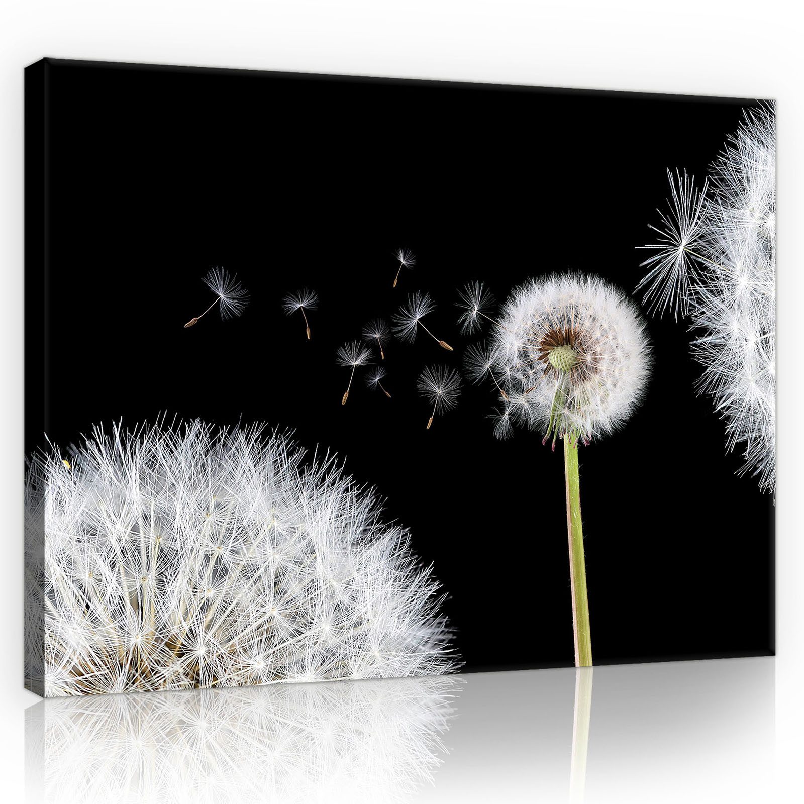 Wallarena Leinwandbild Blumen Schlafzimmer Bilder Wanddekoration günstig online kaufen