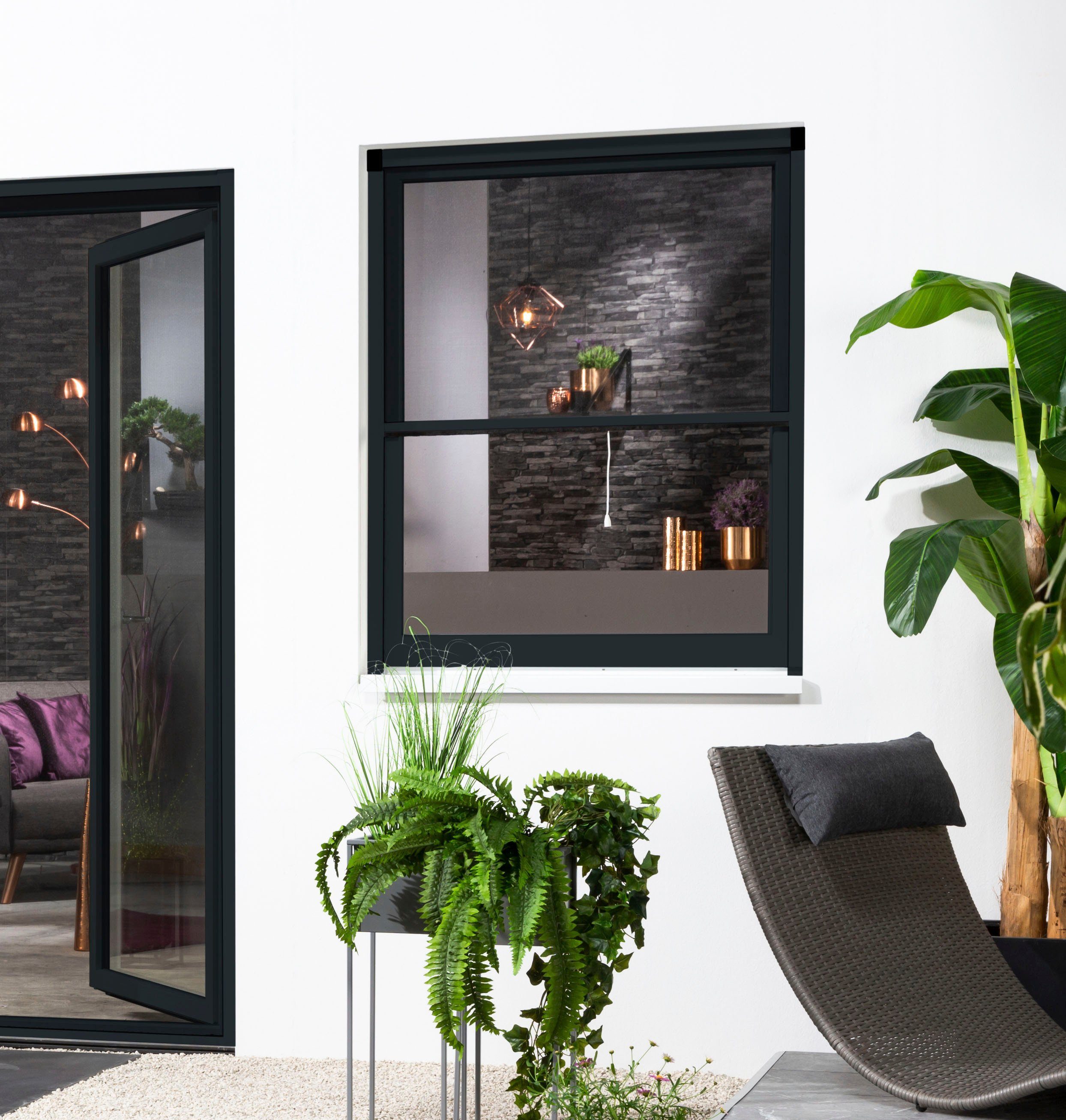 Insektenschutzrollo SMART, hecht international, transparent, verschraubt, für Fenster, kürzbar