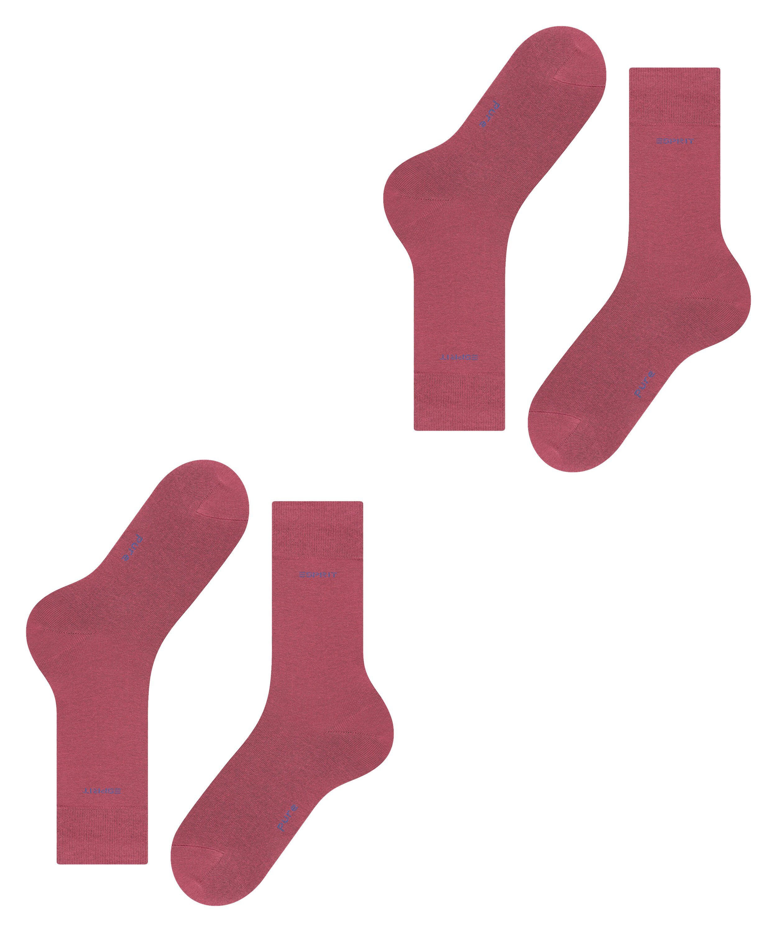 Esprit Socken Basic Uni shadow (2-Paar) red (8138) 2-Pack