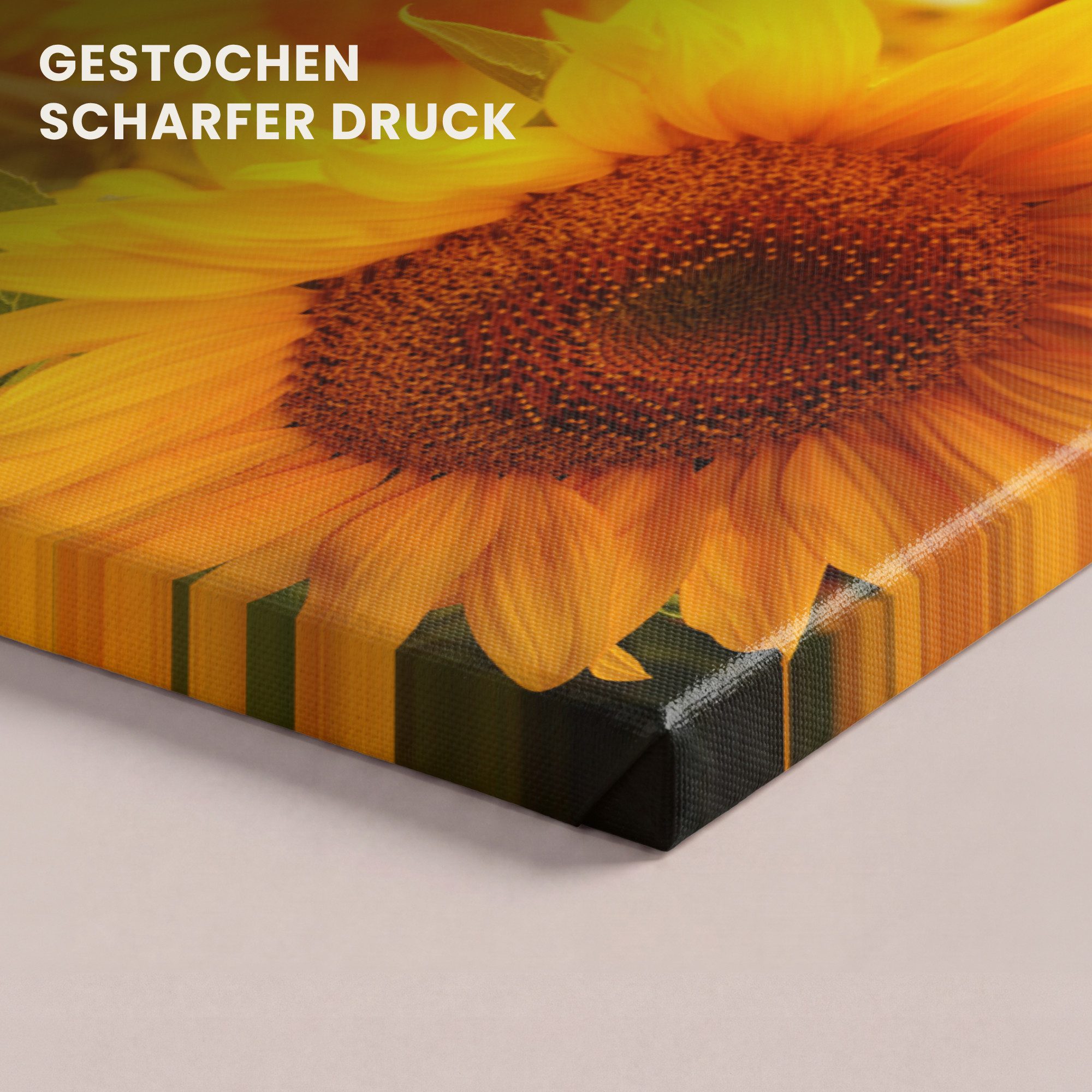 OneMillionCanvasses® Leinwandbild Panorama Sonnenblume - Gelb - Blumen - Sonne, Fotodruck (1 St), Wandbild, Deko Schlafzimmer Wohnzimmer Flur 40x20 cm – Bild 3 von 5