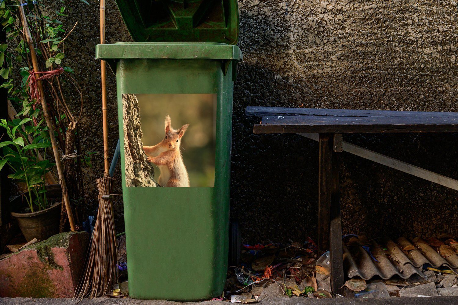 (1 St), Container, - Mülleimer-aufkleber, Wandsticker Eichhörnchen Mülltonne, Sticker, Baum Nagetiere MuchoWow Abfalbehälter -