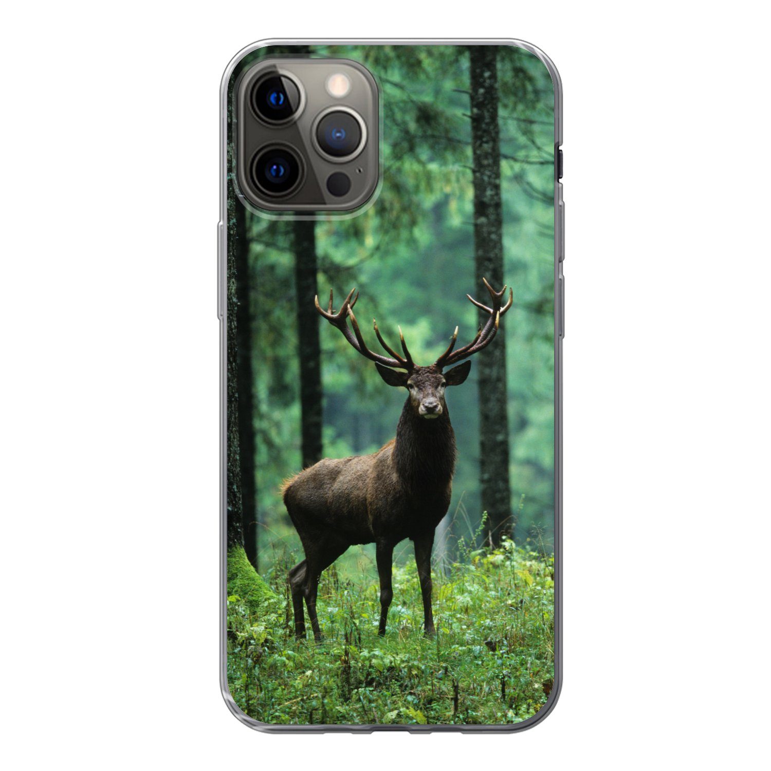MuchoWow Handyhülle Hirsche - Wald - Bäume - Tiere - Natur, Handyhülle Apple iPhone 12 Pro, Smartphone-Bumper, Print, Handy