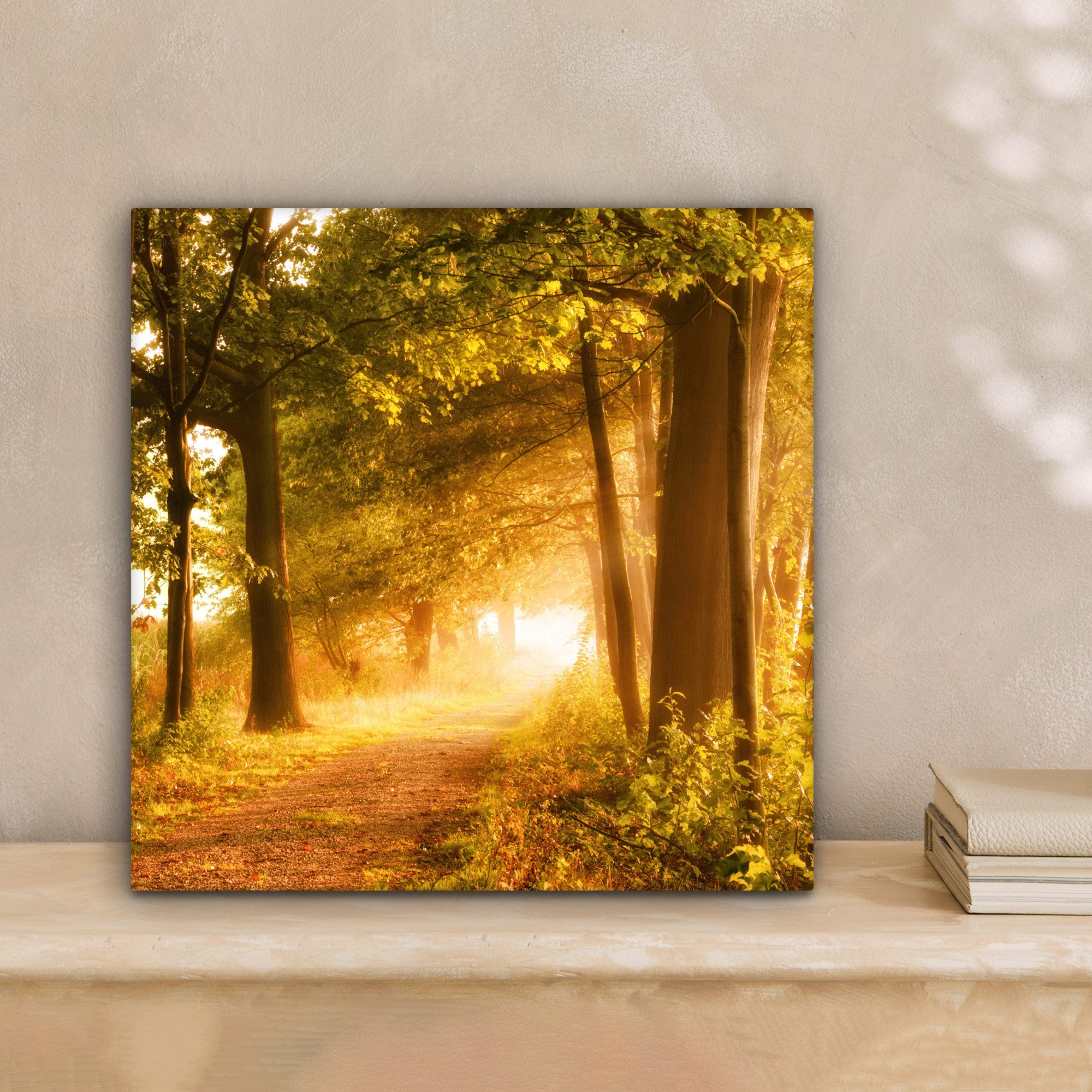 OneMillionCanvasses® Leinwandbild Wald - Bäume - Sonnenlicht - Herbst - Weg günstig online kaufen