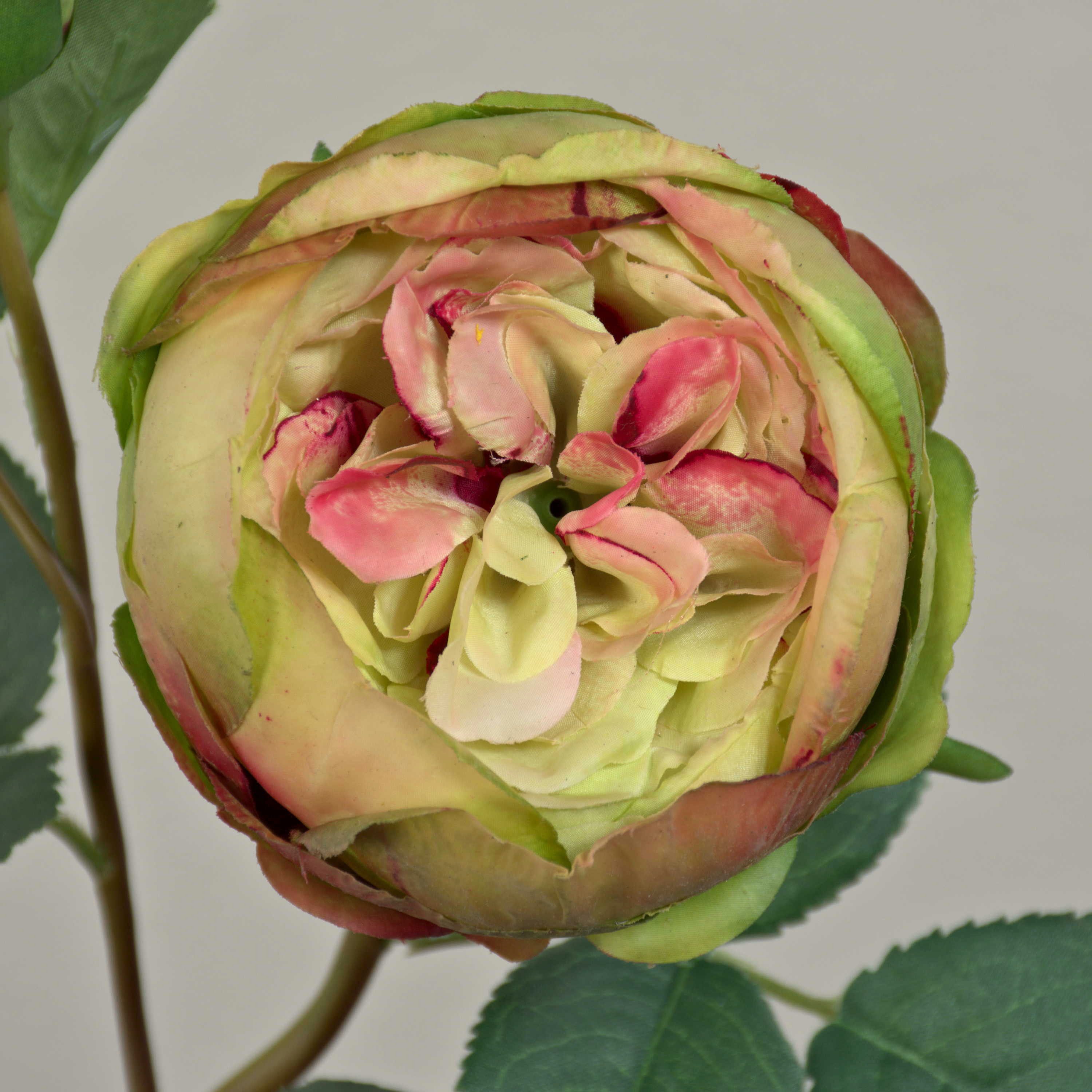 Kunstblume Kunst Kohl-Rose MIRETTA, grün-Burgunderrot, 60cm, Ø3-9cm - Textil Koh Rose (Kohl-Rose), artplants, Höhe 60.0 cm