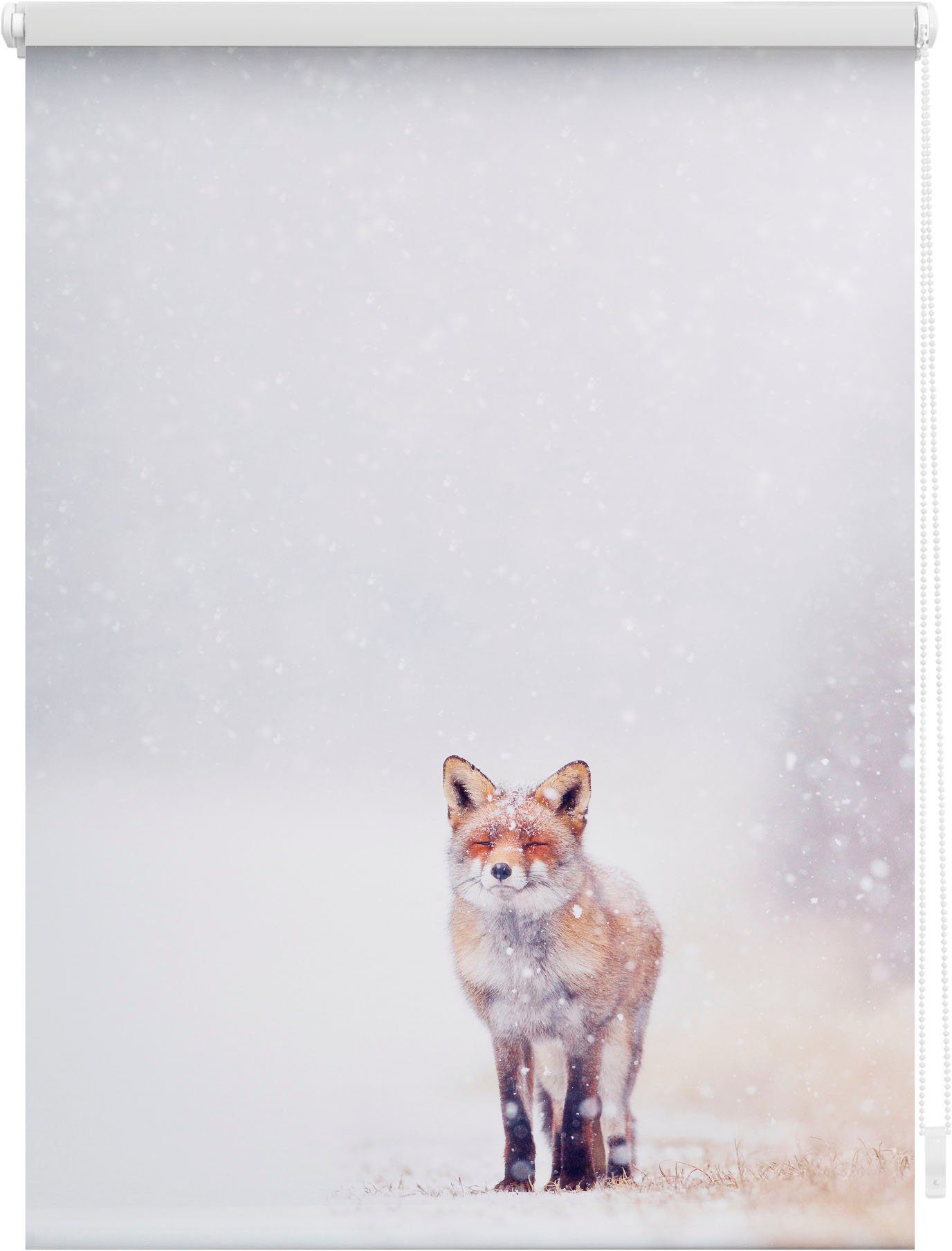 Seitenzugrollo Klemmfix Motiv Fuchs im Schnee, LICHTBLICK ORIGINAL, Lichtschutz, ohne Bohren, freihängend, Klemmfix, bedruckt