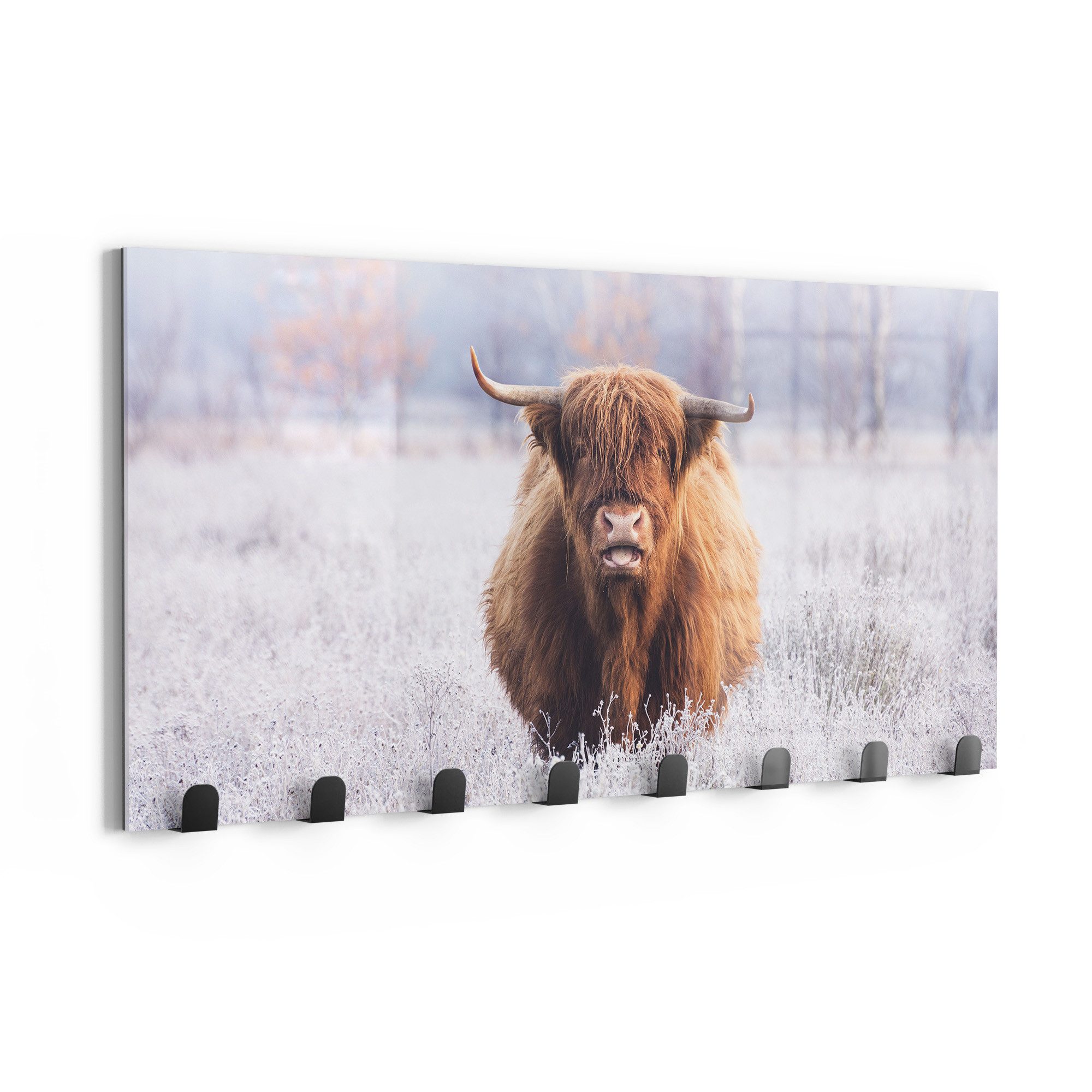 DEQORI Kleiderhaken 'Frostiger Hochlandblick', Glas Garderobe Paneel magnetisch beschreibbar