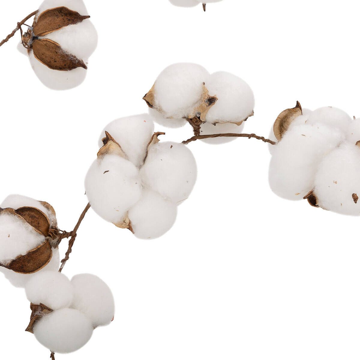 Atmosphera Créateur d'intérieur Dekoobjekt Girlande aus künstlichen Baumwollblumen, 200 cm (Deko-Objekt, Deko-Objekt)