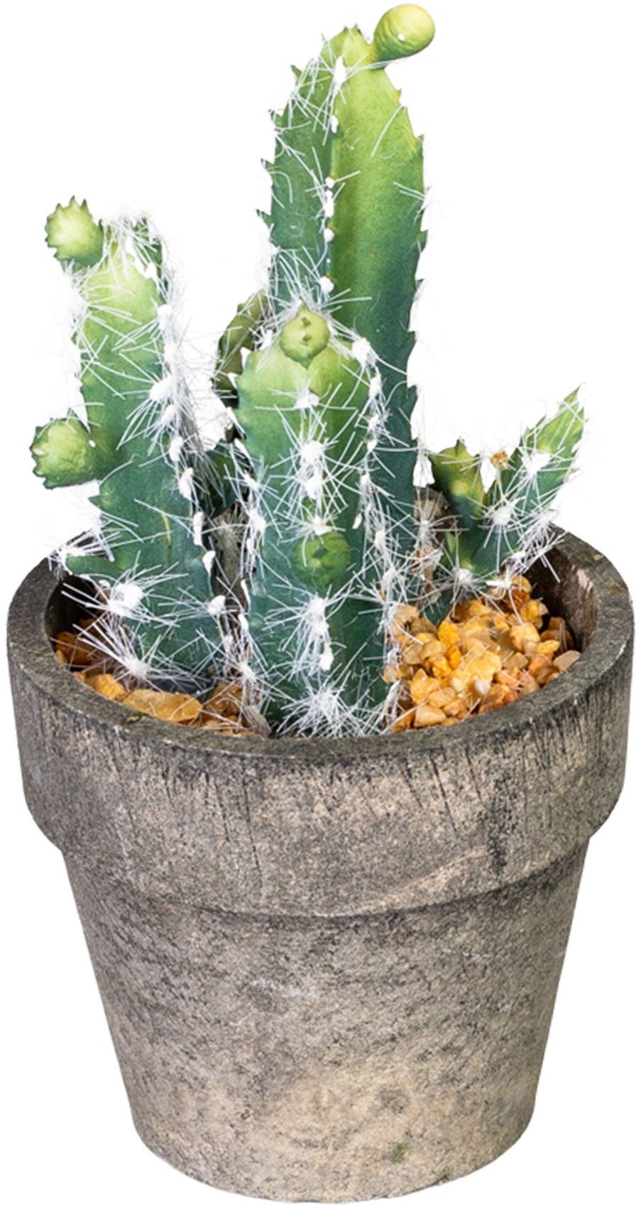 Kunstkaktus Marian Kaktus, my home, Höhe 10 cm, im Paperpot, 4er Set