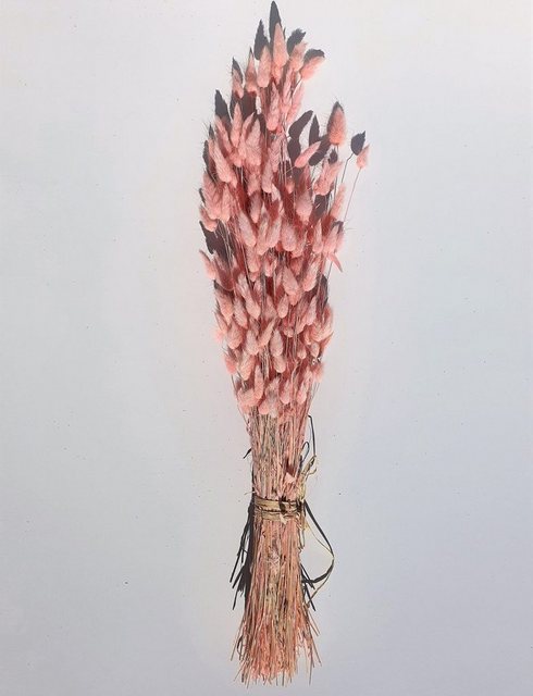 Trockenblume »Bunch of Lagurus«, Everflowers, Höhe 60 cm-Otto