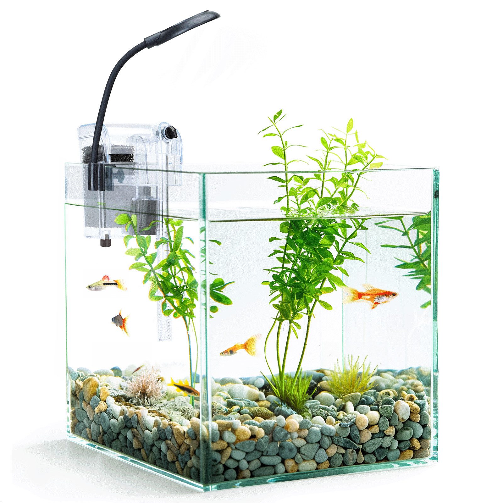nobleza Aquarien-Set 27L Mini Aquarium Komplettset, Nano Aquarium
