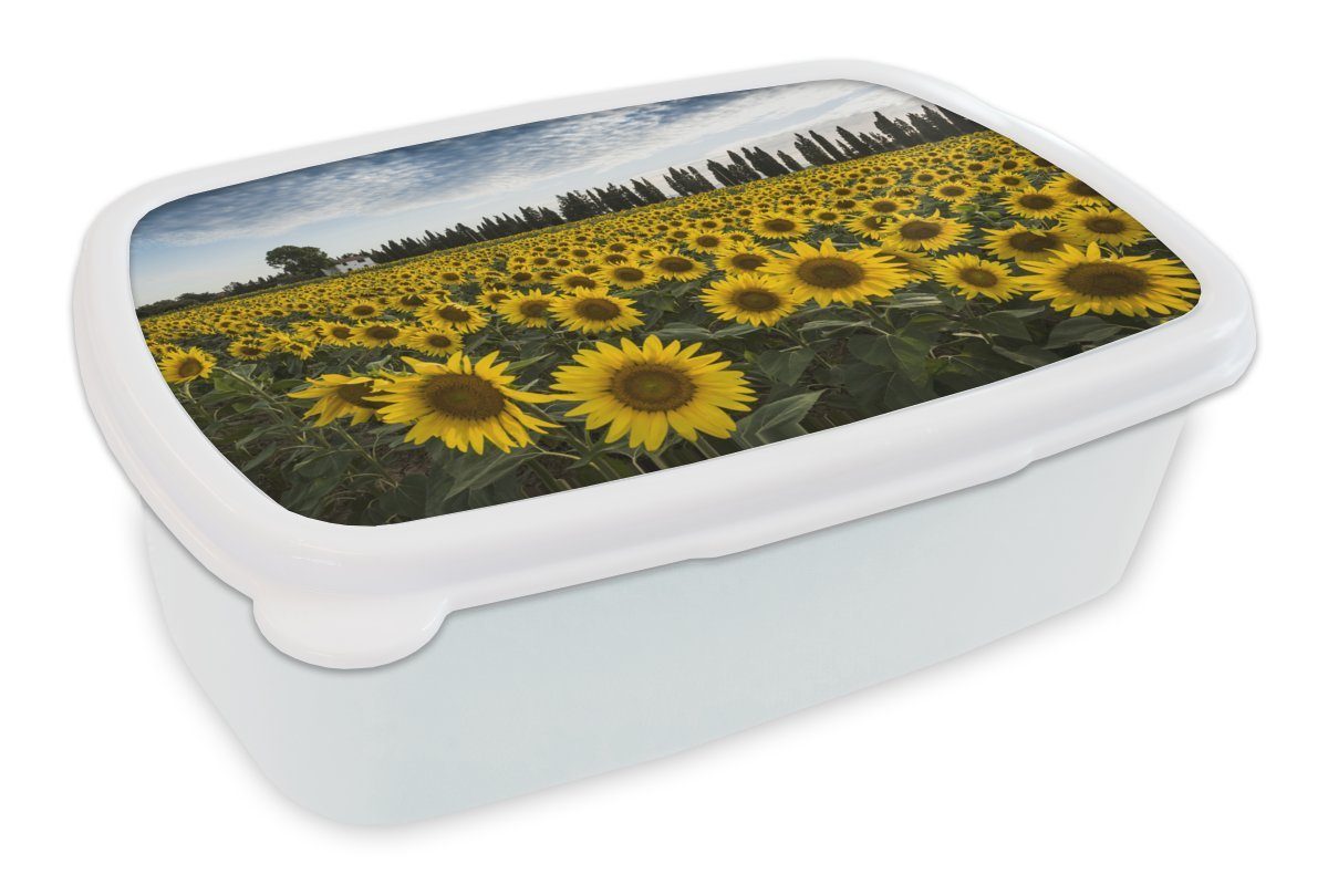 MuchoWow Lunchbox Sonnenblume - Italien - Bäume, Kunststoff, (2-tlg), Brotbox für Kinder und Erwachsene, Brotdose, für Jungs und Mädchen weiß
