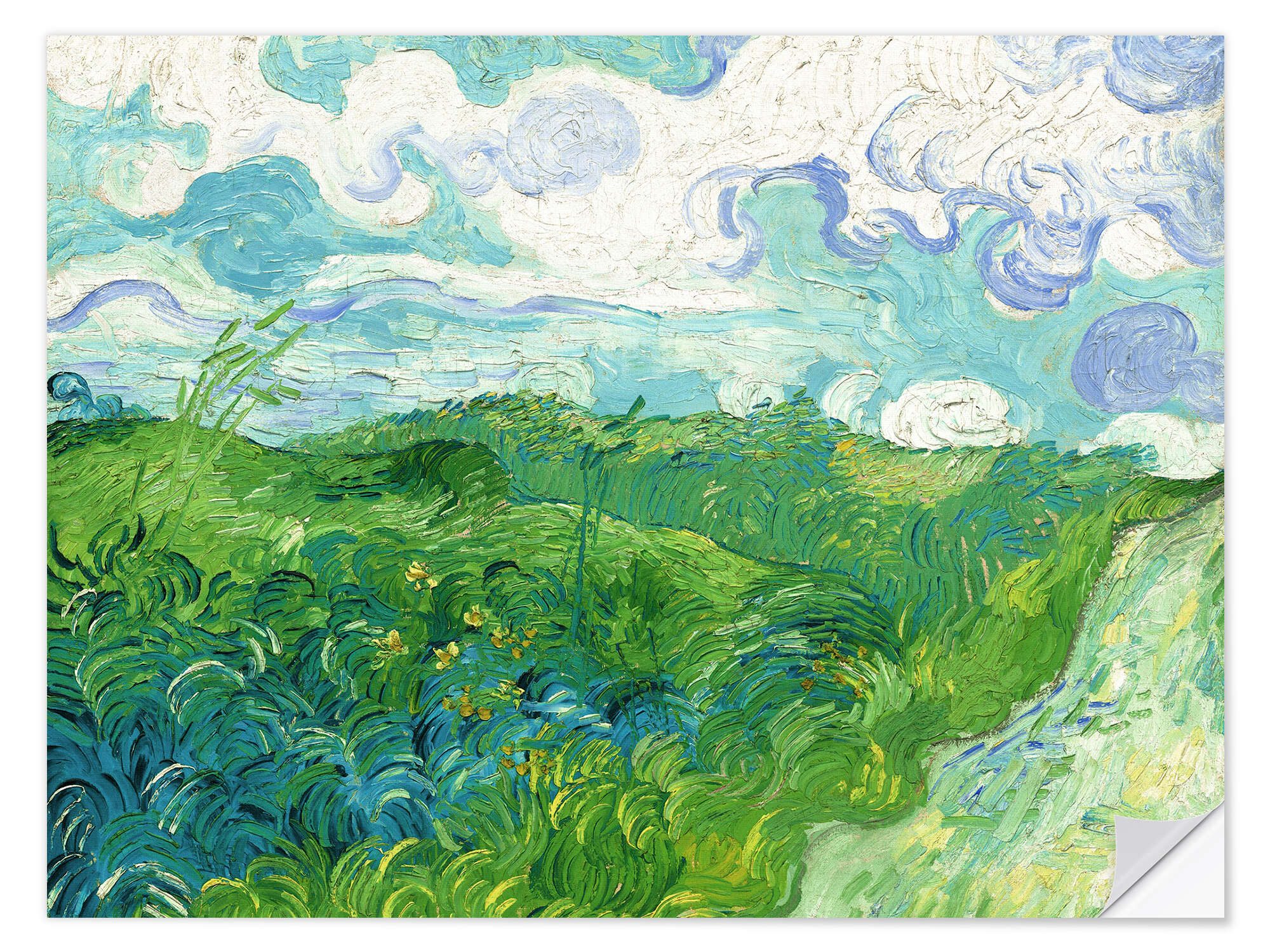 Wandfolie Vincent van Gogh