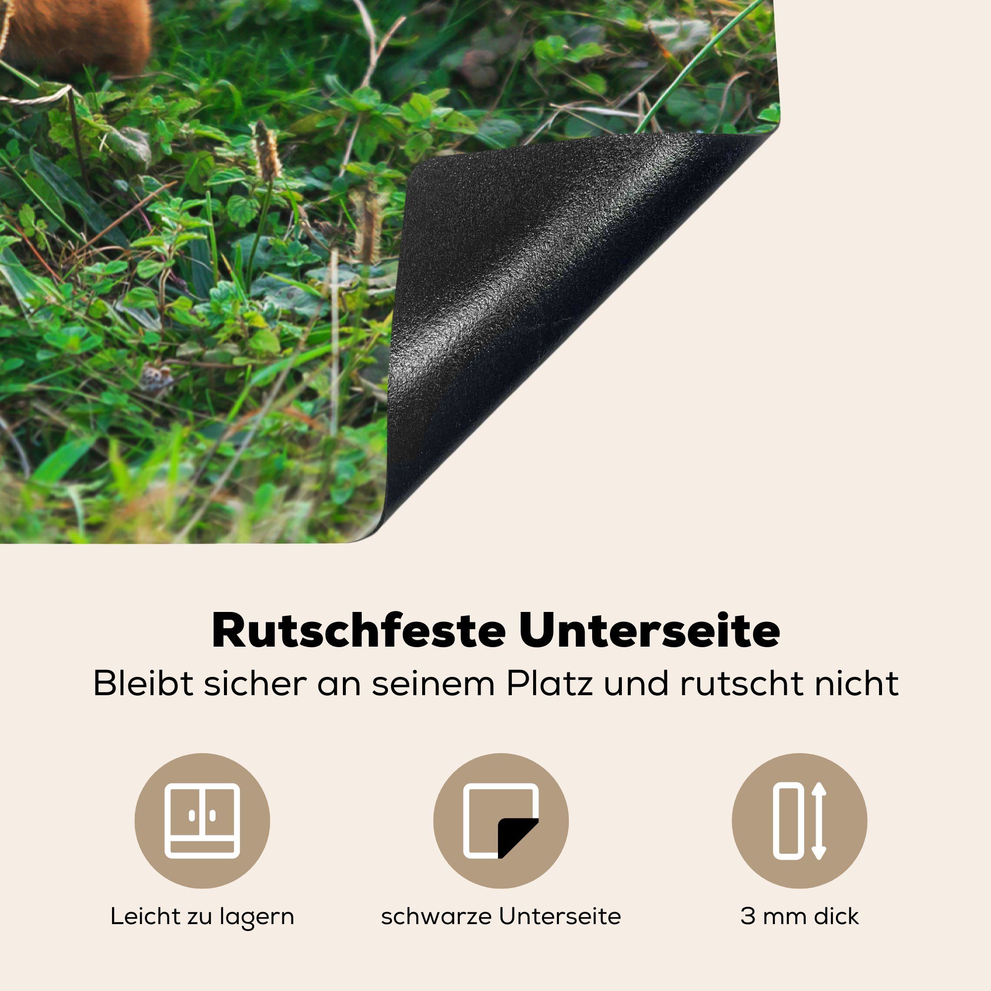 MuchoWow Herdblende-/Abdeckplatte Fuchs - Gras Ceranfeldabdeckung küche, Pflanzen, cm, die Induktionskochfeld Schutz für Vinyl, - 71x52 (1 tlg)