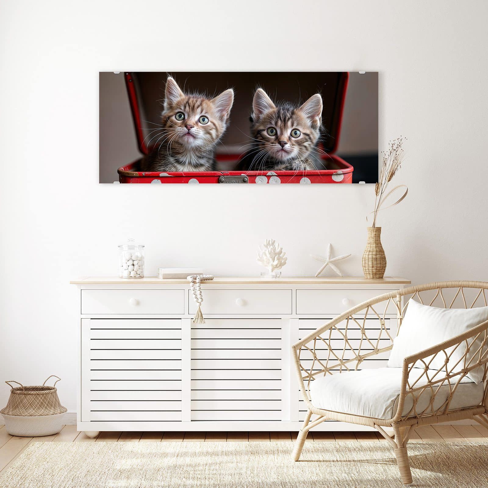 Primedeco Glasbild Wandbild Katzen im Koffer mit Aufhängung, Tierwelt (21 verschiedene Größen, 1 St), Elegante Aufhängung