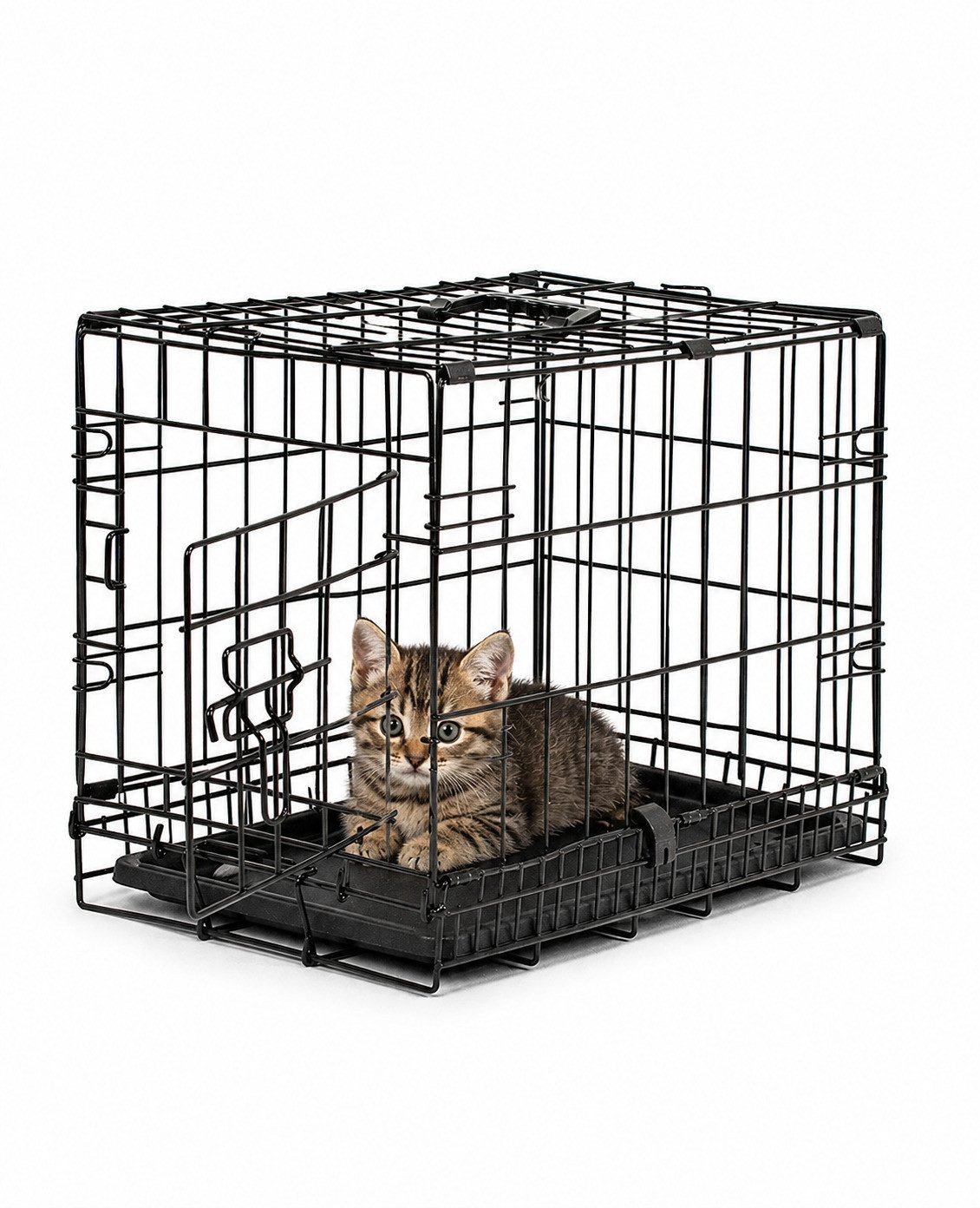 lionto Tiertransportbox für Katzen, stabil aus Metall mit Kunststoffbodenwanne, 45x31x36 cm, hygienisch mit Trennwand & Sicherheitsverriegelung
