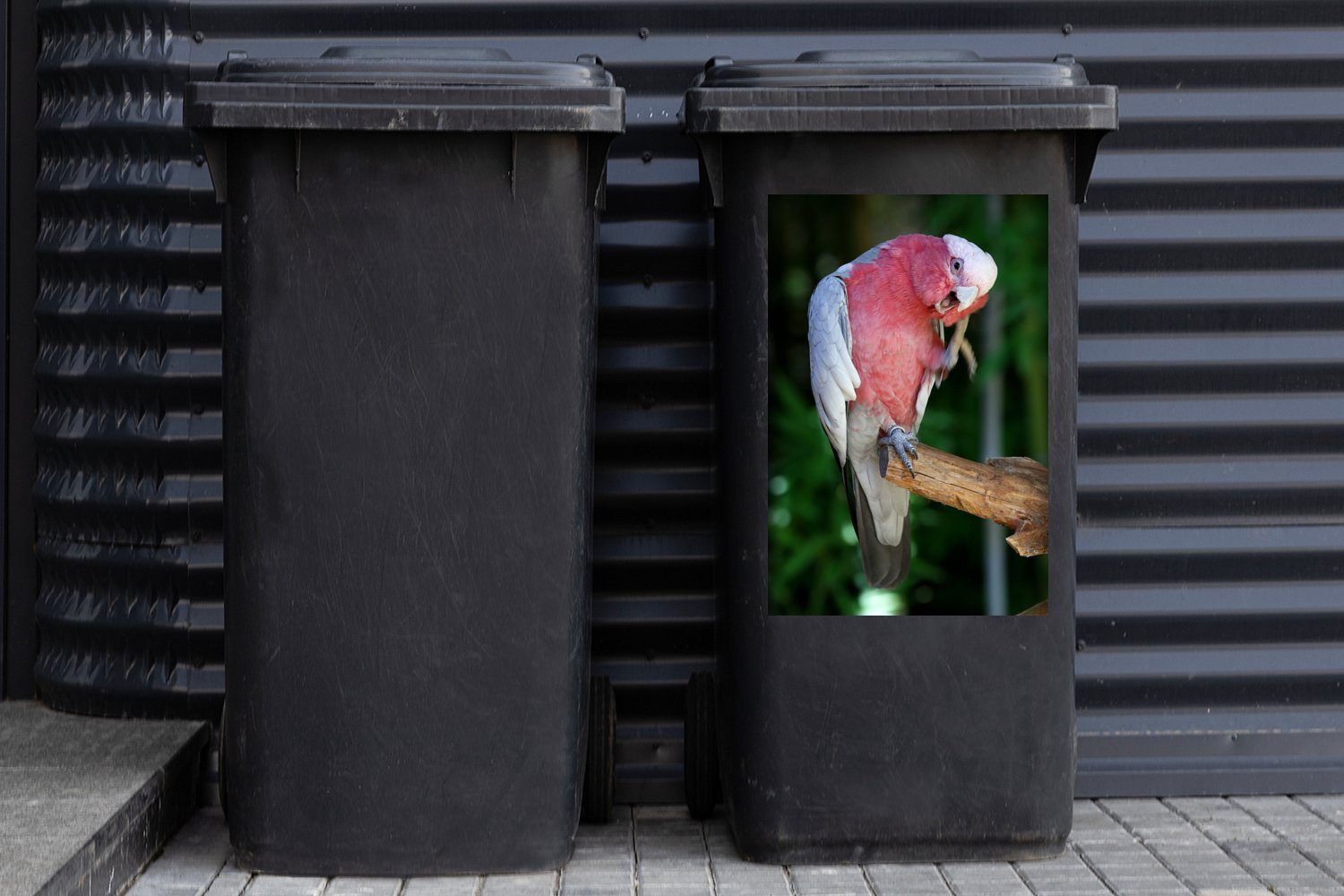 MuchoWow Wandsticker Holzast Container, Kakadu Abfalbehälter Roter Mülltonne, einem auf (1 Mülleimer-aufkleber, St), Sticker