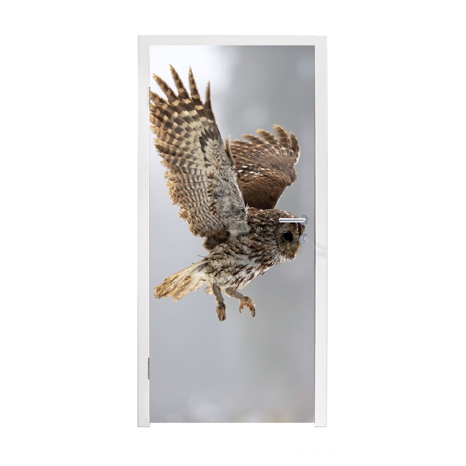 MuchoWow Türtapete Fliegender Waldkauz, für Türaufkleber, Fototapete Tür, 75x205 (1 Matt, cm St), bedruckt