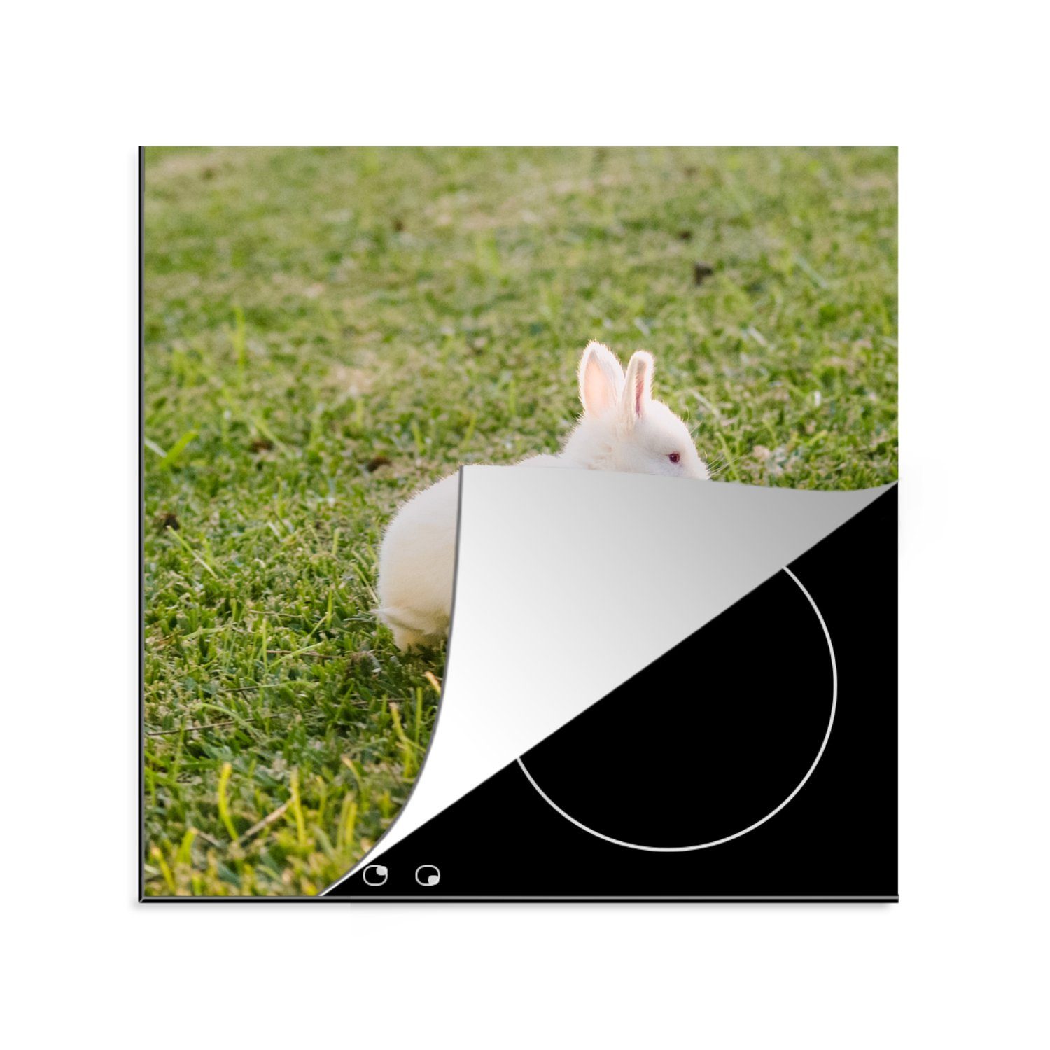 MuchoWow Herdblende-/Abdeckplatte Kaninchen - Baby - Weiß - Gras, Vinyl, (1 tlg), 78x78 cm, Ceranfeldabdeckung, Arbeitsplatte für küche