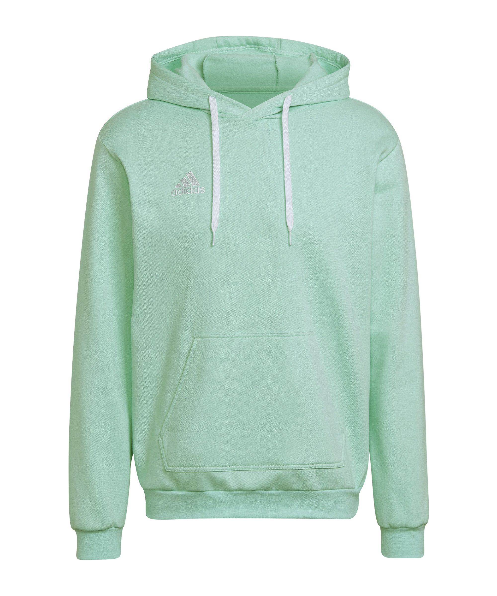 adidas Performance Sweatshirt adidas Performance Entrada 22 Hoody Herren Ba günstig online kaufen