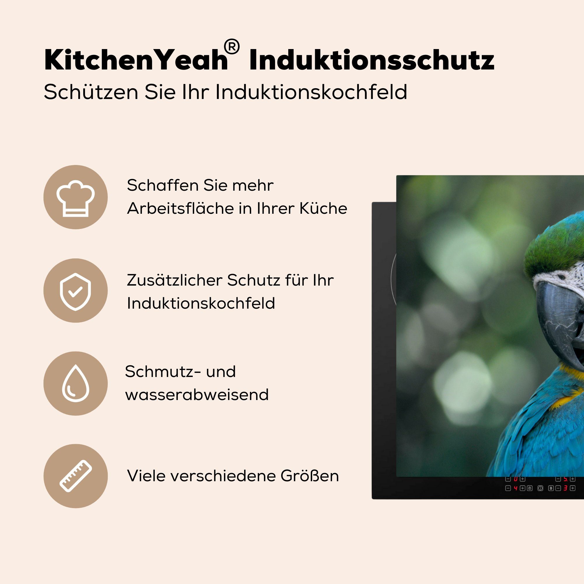 MuchoWow Herdblende-/Abdeckplatte Vogel - tlg), die Ceranfeldabdeckung cm, für Vinyl, 81x52 - Schutz (1 Blau, küche, Papagei Induktionskochfeld