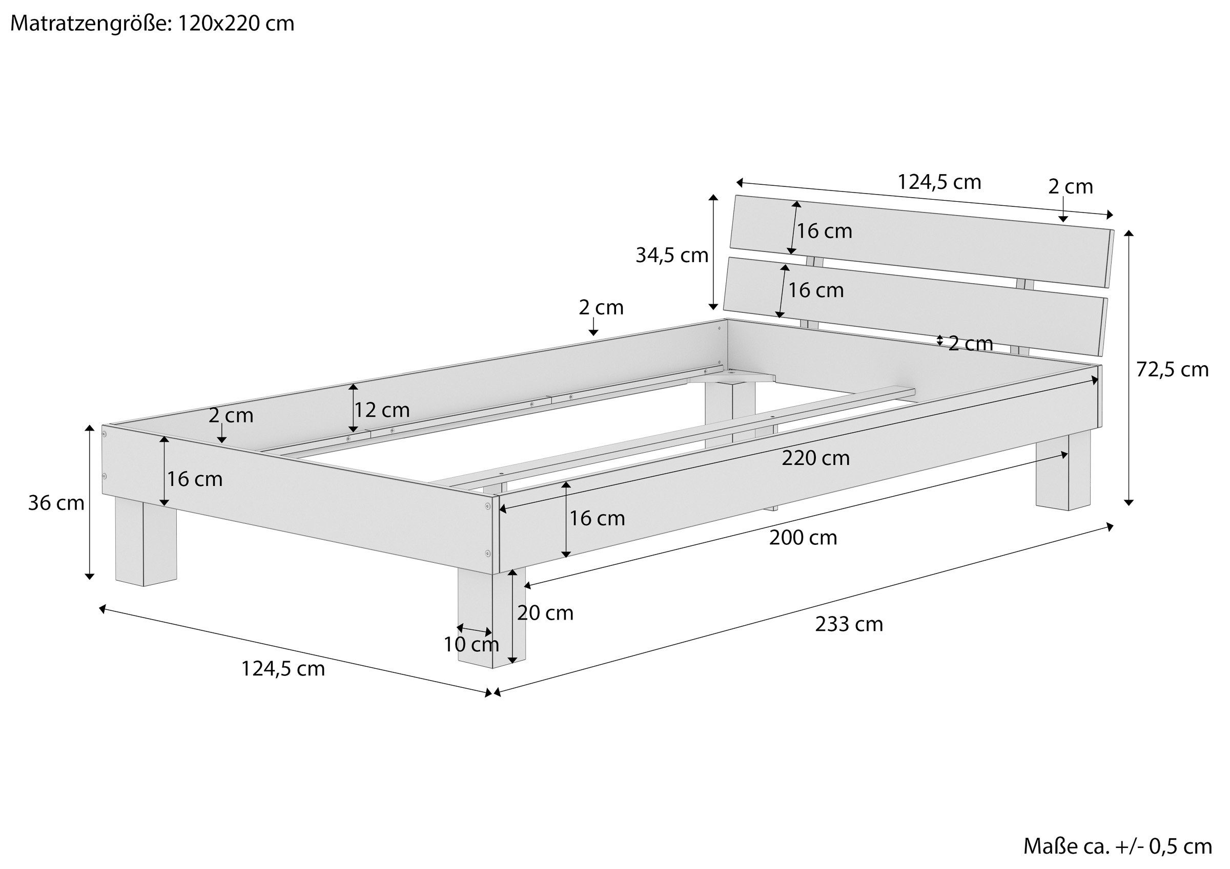 ERST-HOLZ Bettgestell Stabiles Buche Bett Einzelbett 120 x 220 cm für Erwachsene, Buche farblos lackiert