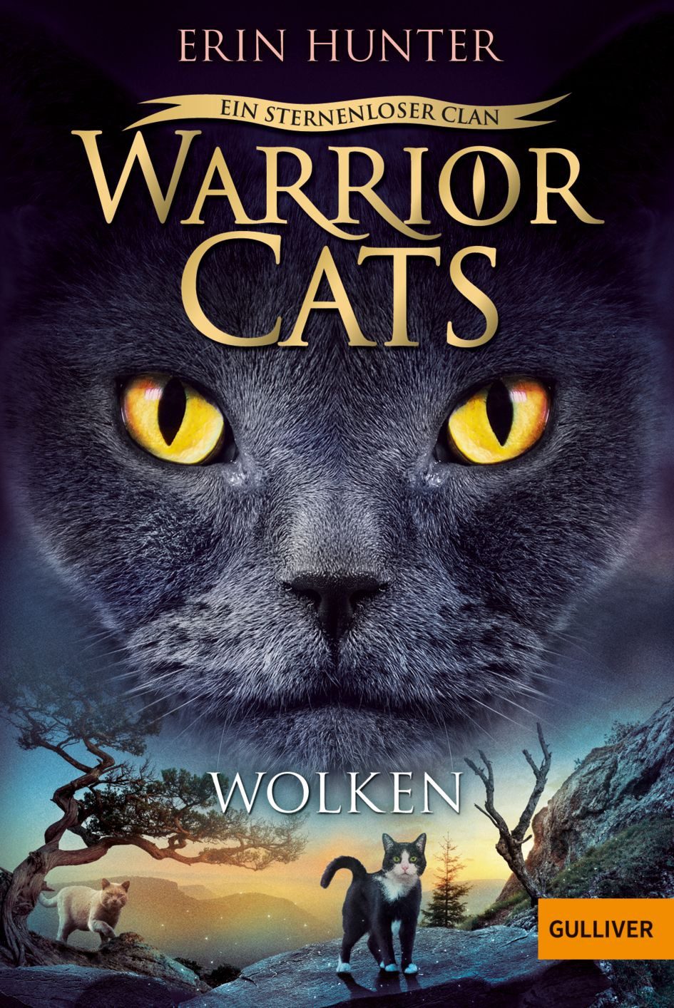 Warrior Cats - Ein sternenloser Clan. Wolken / Erin Hunter, Staffel VIII, Band 2