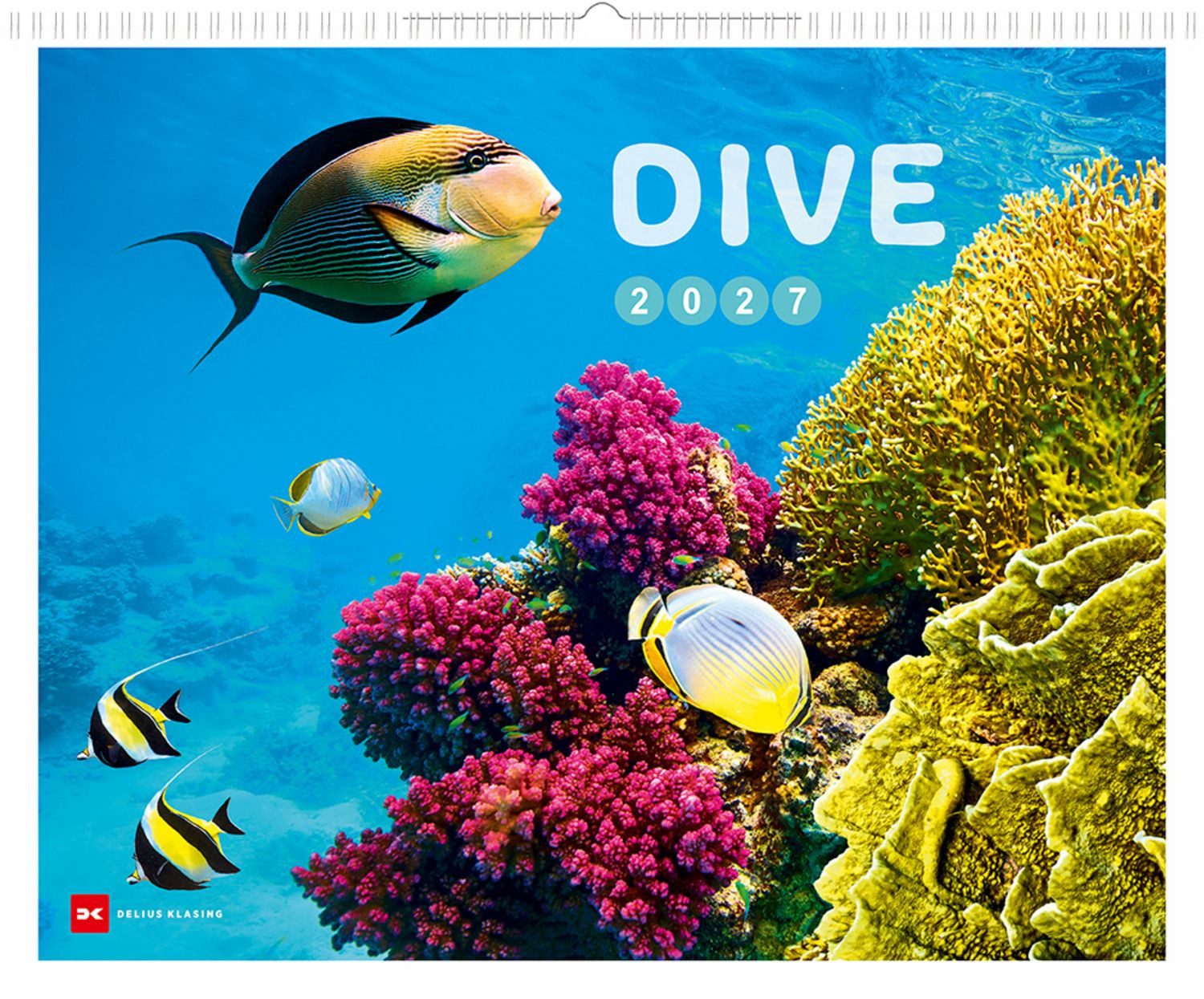 Delius Klasing Wandkalender Dive 2027