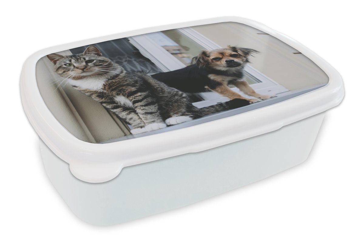 Katze Brotbox Jungs - Hund und Brotdose, für und Tiere, für MuchoWow Erwachsene, Lunchbox Kunststoff, Mädchen Kinder - weiß (2-tlg),