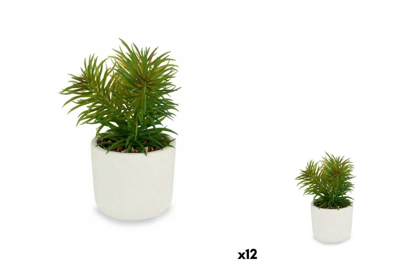 Dekorationspflanze Stück, 22 20 14 Künstliche x x Zimmerpflanze Weiß Ibergarden, cm 14 Höhe grün 12 cm