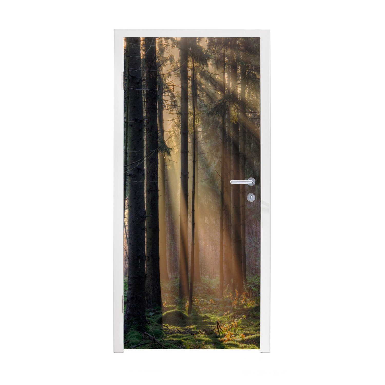 MuchoWow Türtapete Bäume - Wald - Sonne - Pflanzen, Matt, bedruckt, (1 St), Fototapete für Tür, Türaufkleber, 75x205 cm