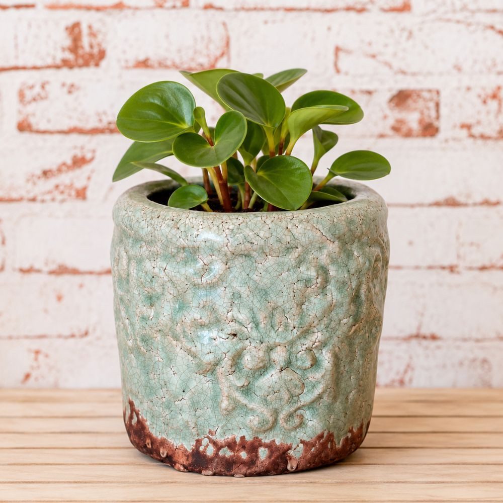 AltoBelli Blumentopf AltoBelli Blumentopf SIRMIONE Terracotta Antik Beige 13x12 cm
