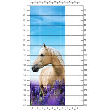 wandmotiv24 Türtapete Pferd in Lupinen Feld, Himmel, Lila, glatt, Fototapete, Wandtapete, Motivtapete, matt, selbstklebende Dekorfolie