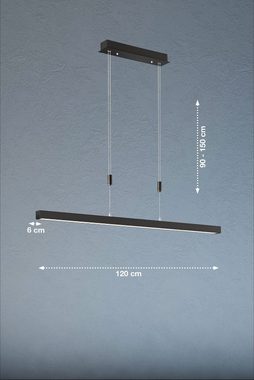 FISCHER & HONSEL LED Pendelleuchte Vito, Dimmfunktion, LED fest integriert, warmweiß - kaltweiß