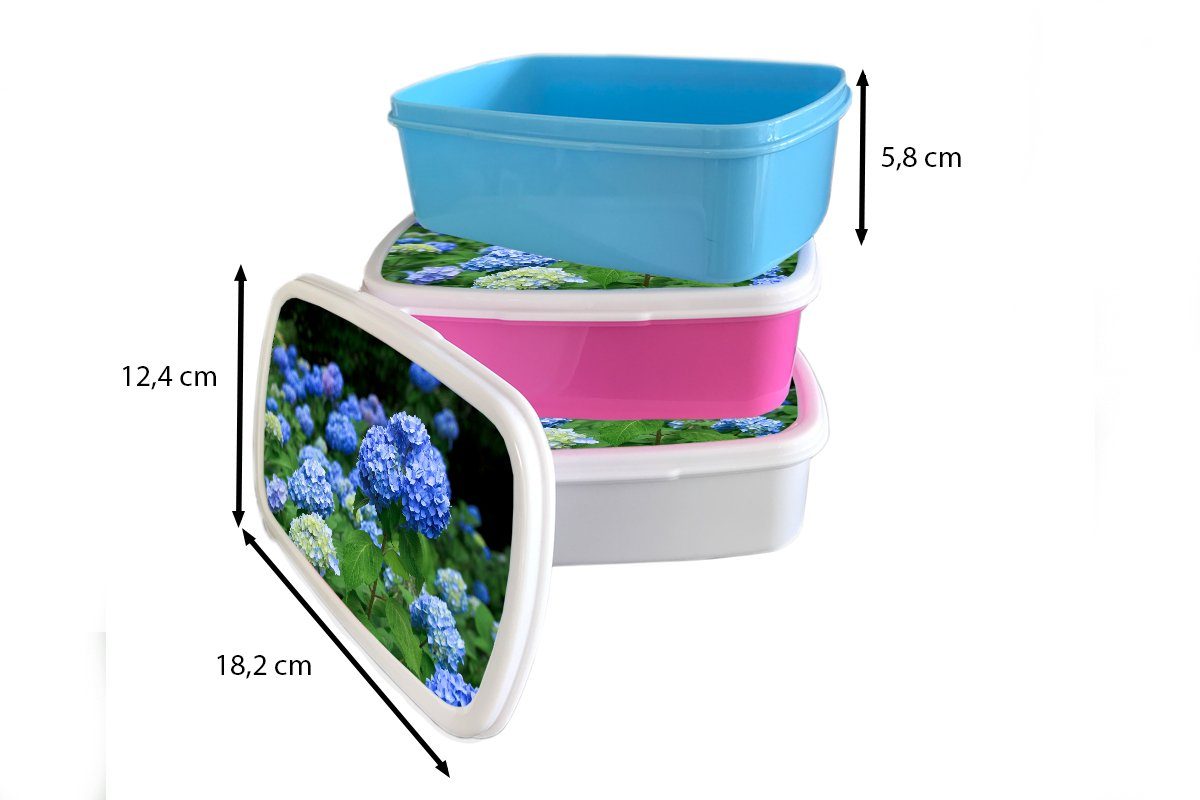 weiß Lunchbox Erwachsene, für Mädchen Jungs Kunststoff, Brotbox Brotdose, (2-tlg), und und Kinder Hortensienblüten, MuchoWow Blaue für