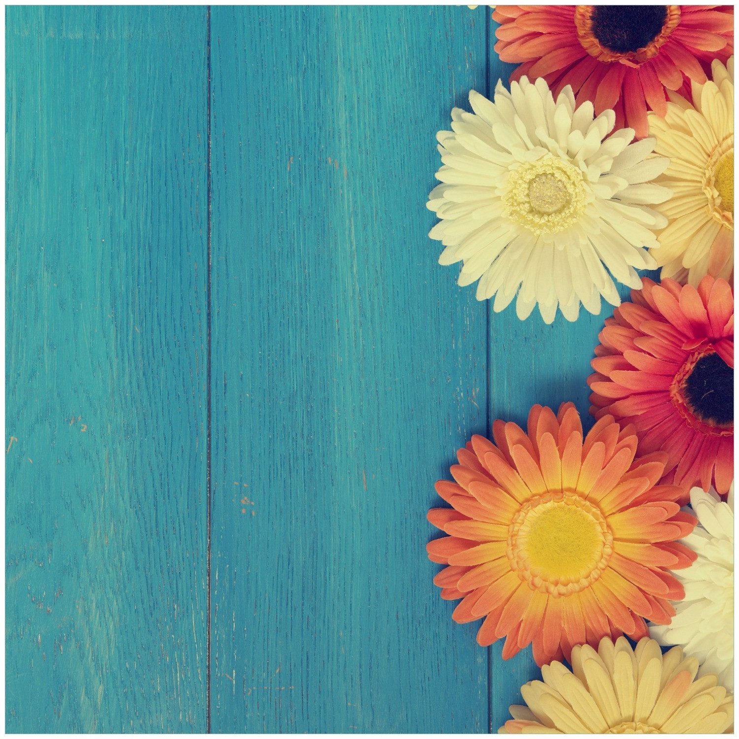 Wallario Möbelfolie Bunte Gerbera auf Holz
